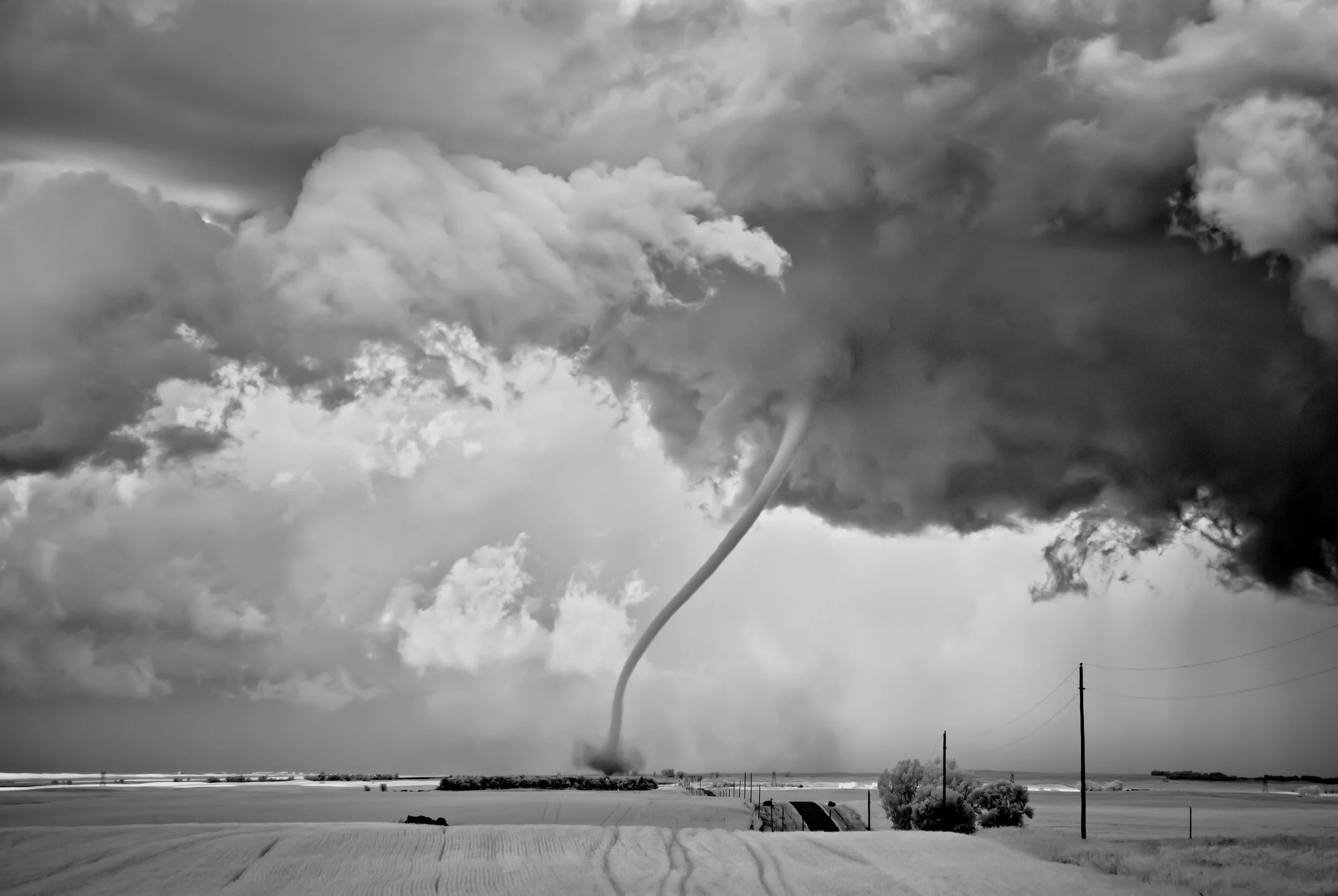 Mitch Dobrowner-21st Copy-© Rope-jpg.jpg