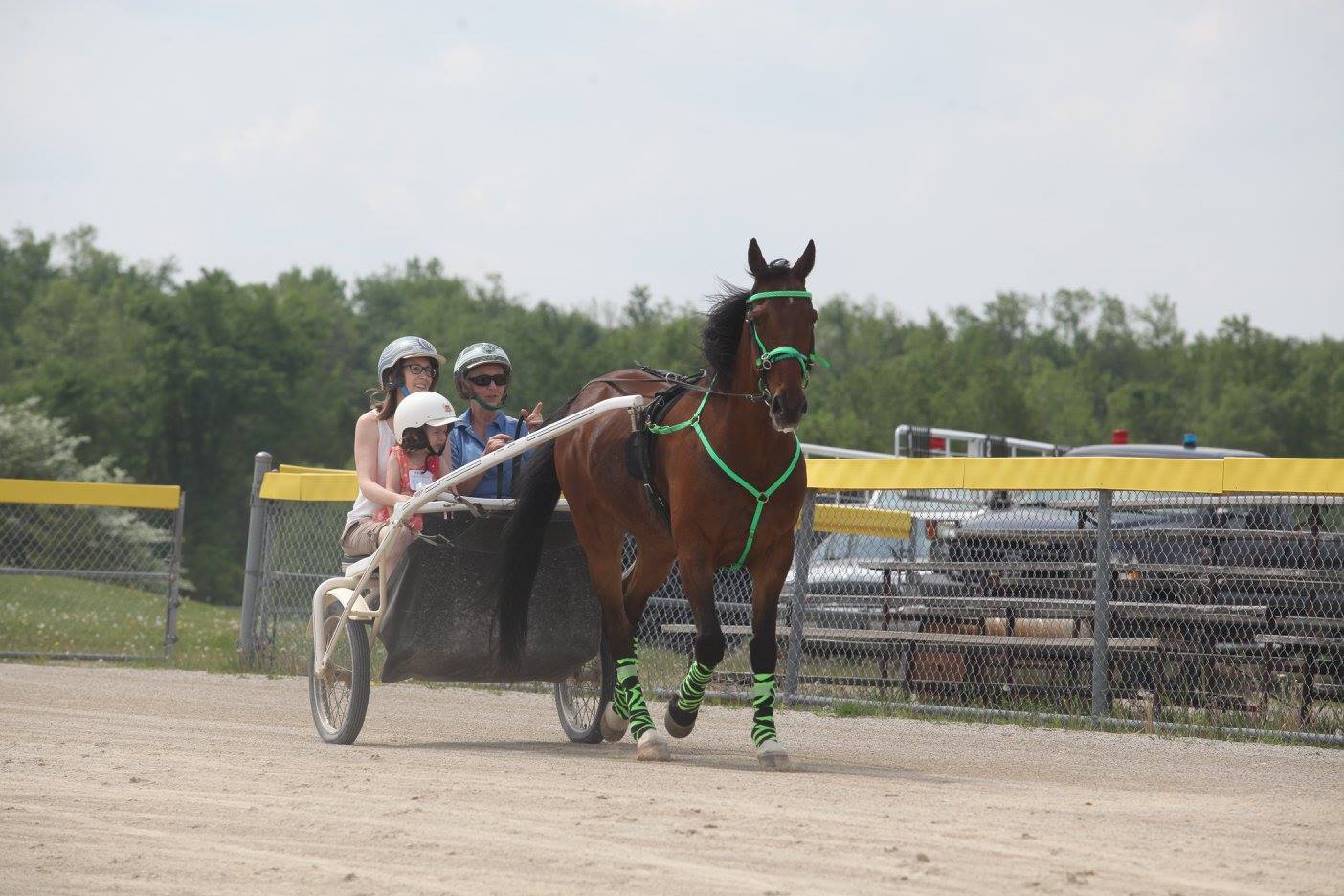 Photo courtesy of Grand River Raceway and Hands on Horses