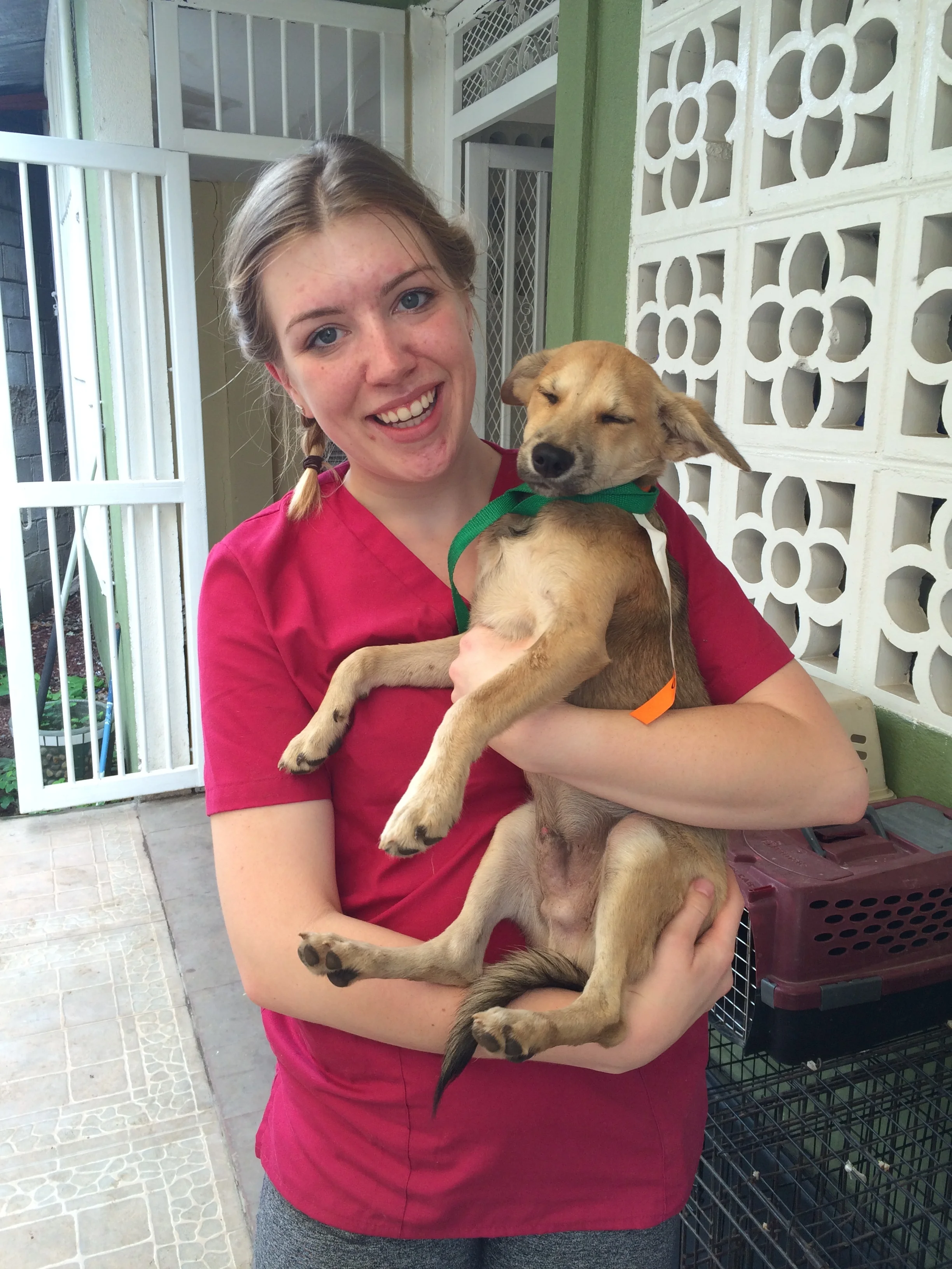 Here is a photo of myself and one of the cutest patients of the clinic, Christian the puppy.