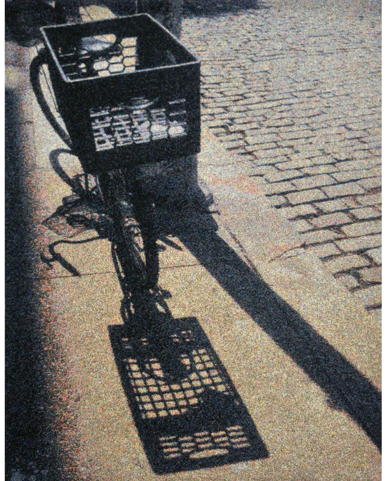 023_Betty Vera_Delivery.jpg