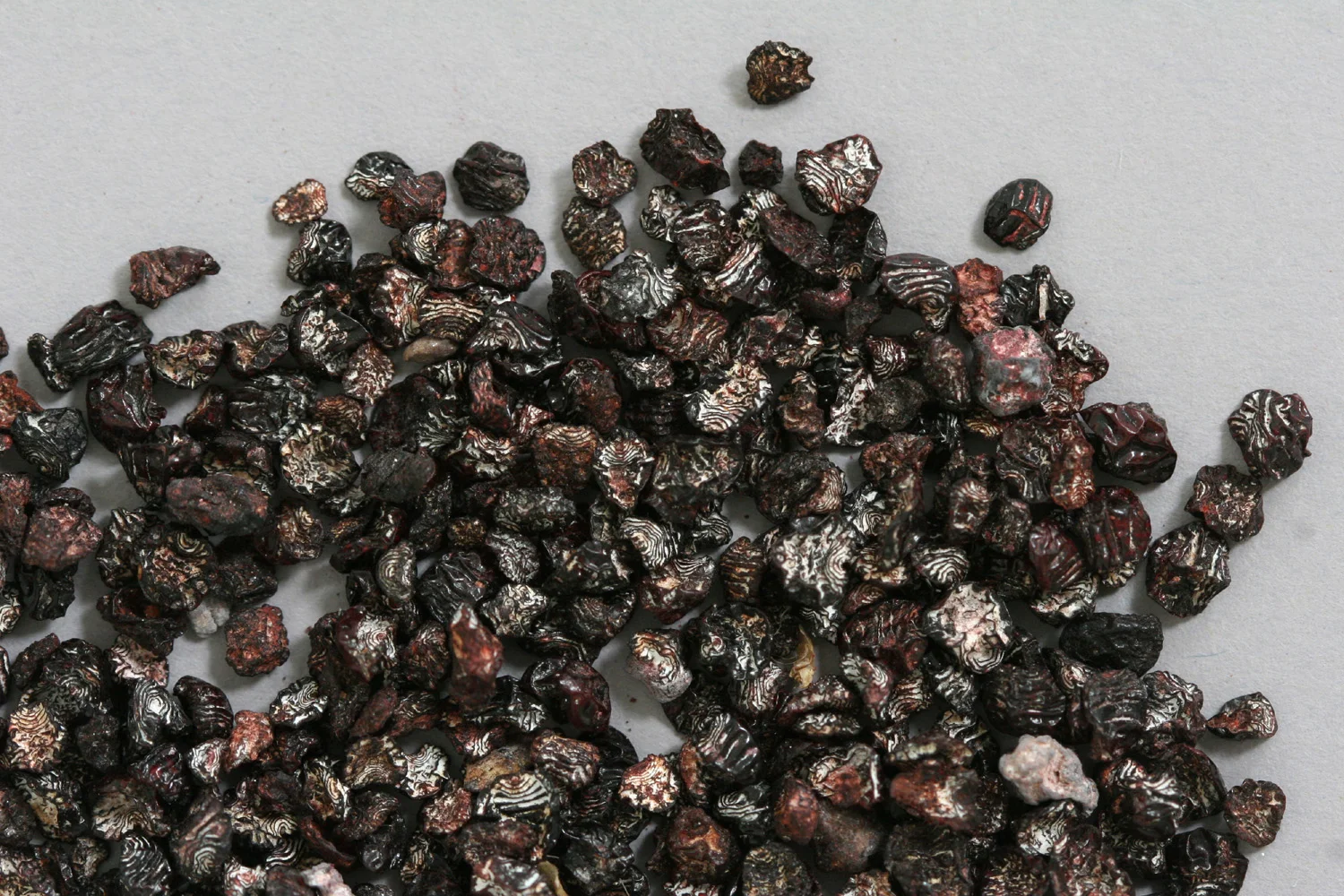 Dried cochineal insects. Photo: E. Phipps