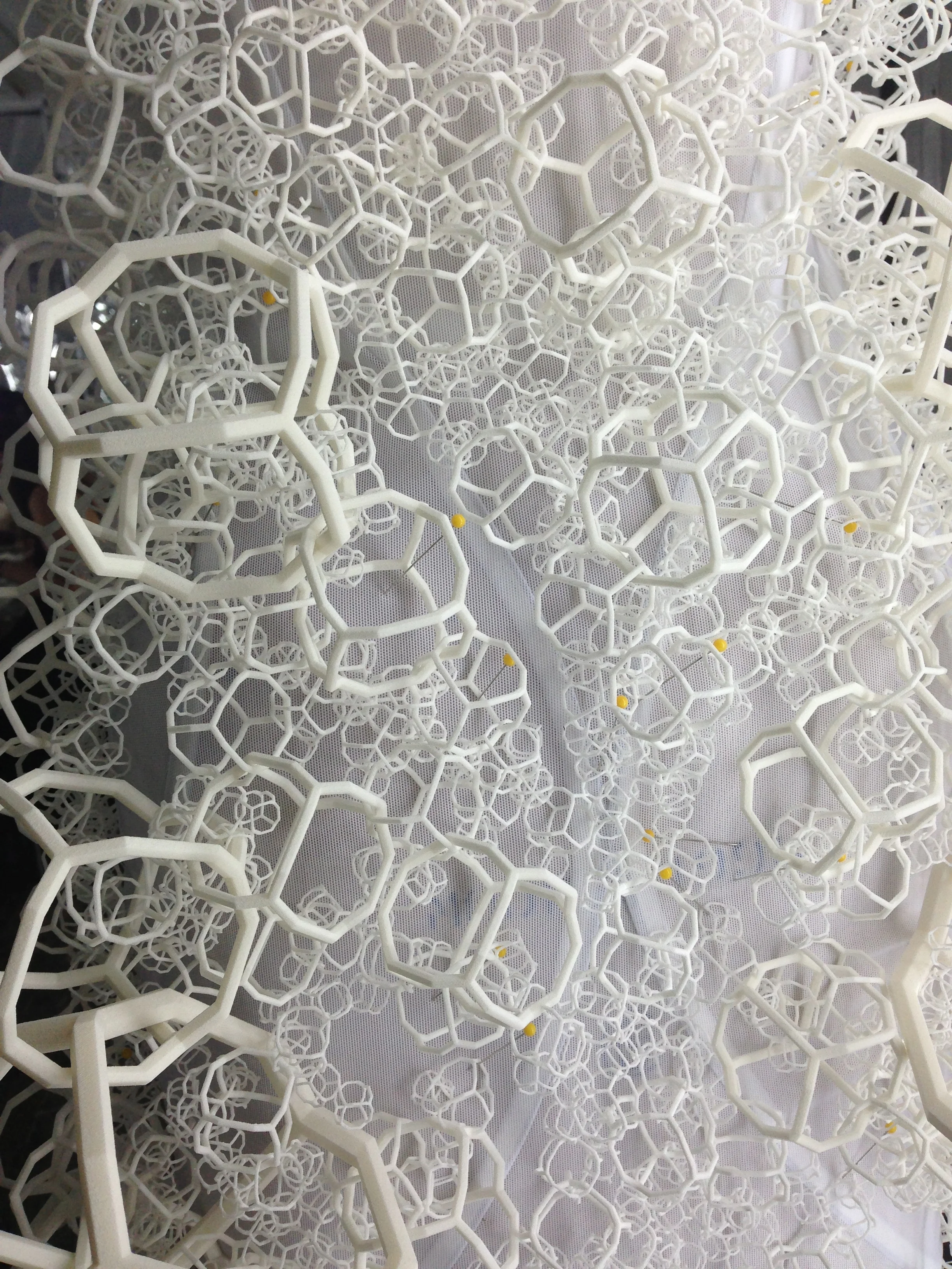 white lace.jpg