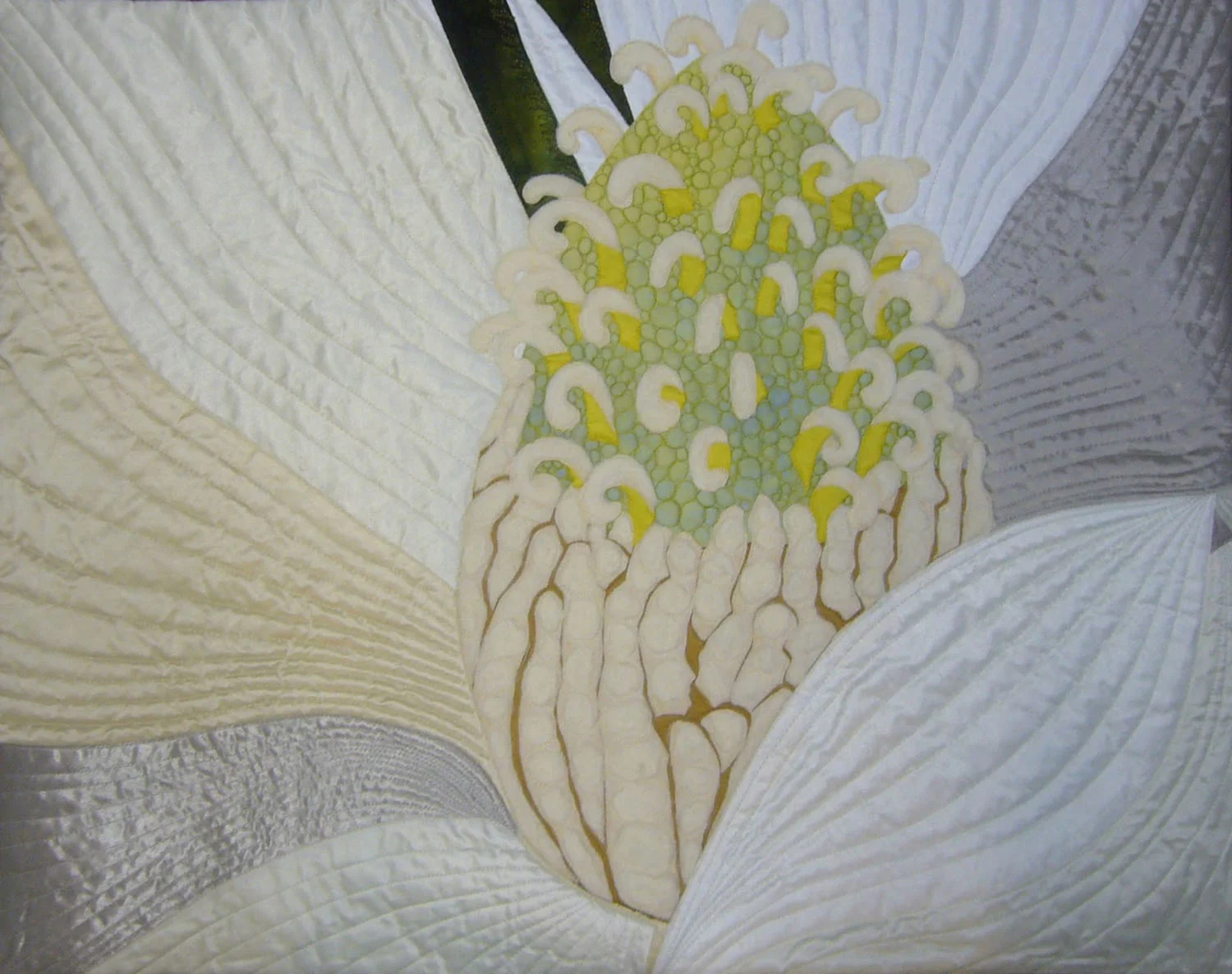 Lauren Horowitz