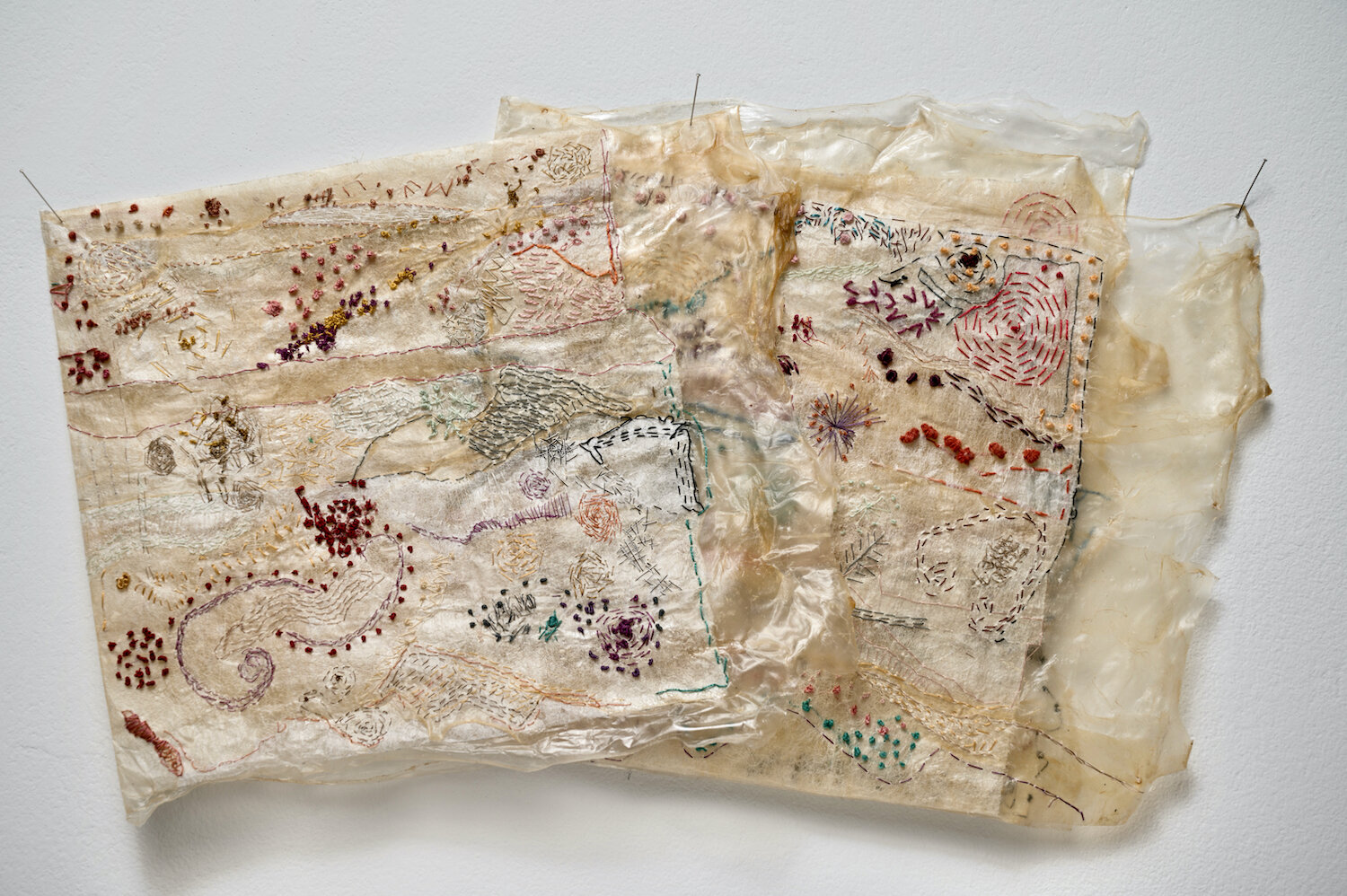 Carolyn Halliday