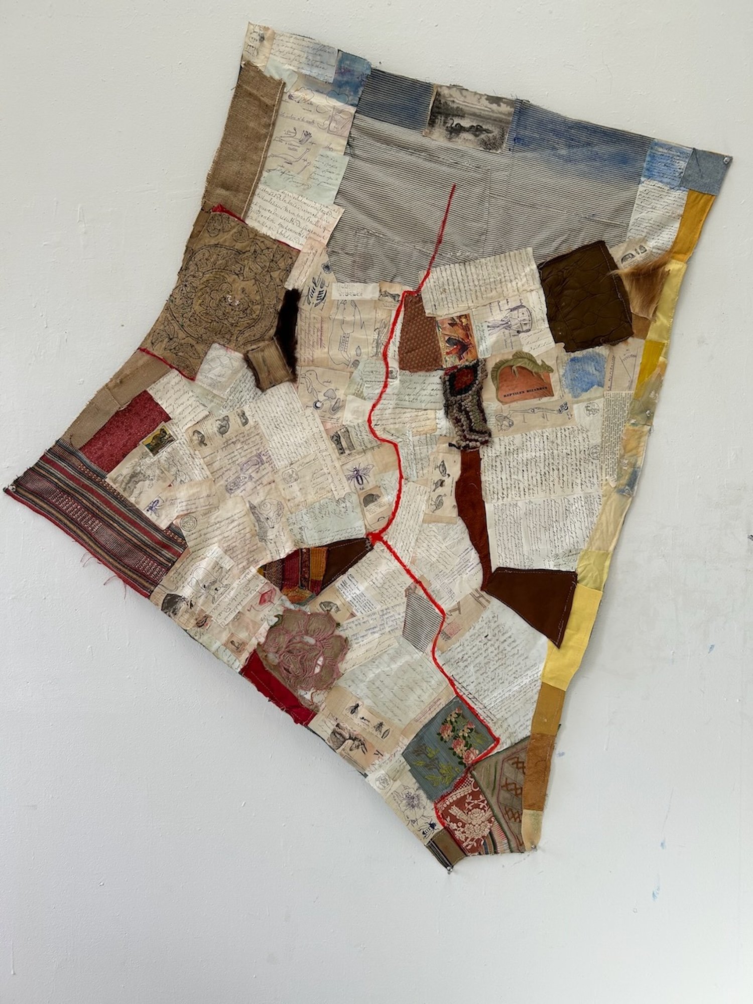 Reineke Hollander