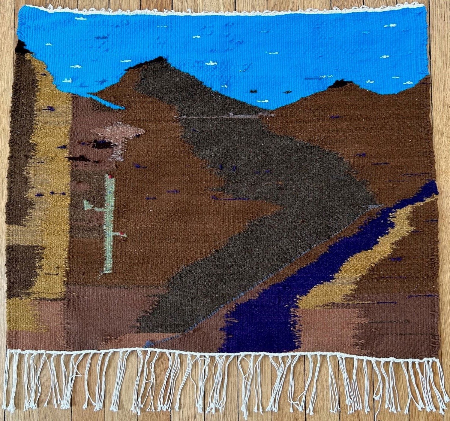 Elizabeth Starcevic – Sonoran Colors