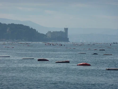This is what a mussel farm looks like. Barrels as far as the eye can see!