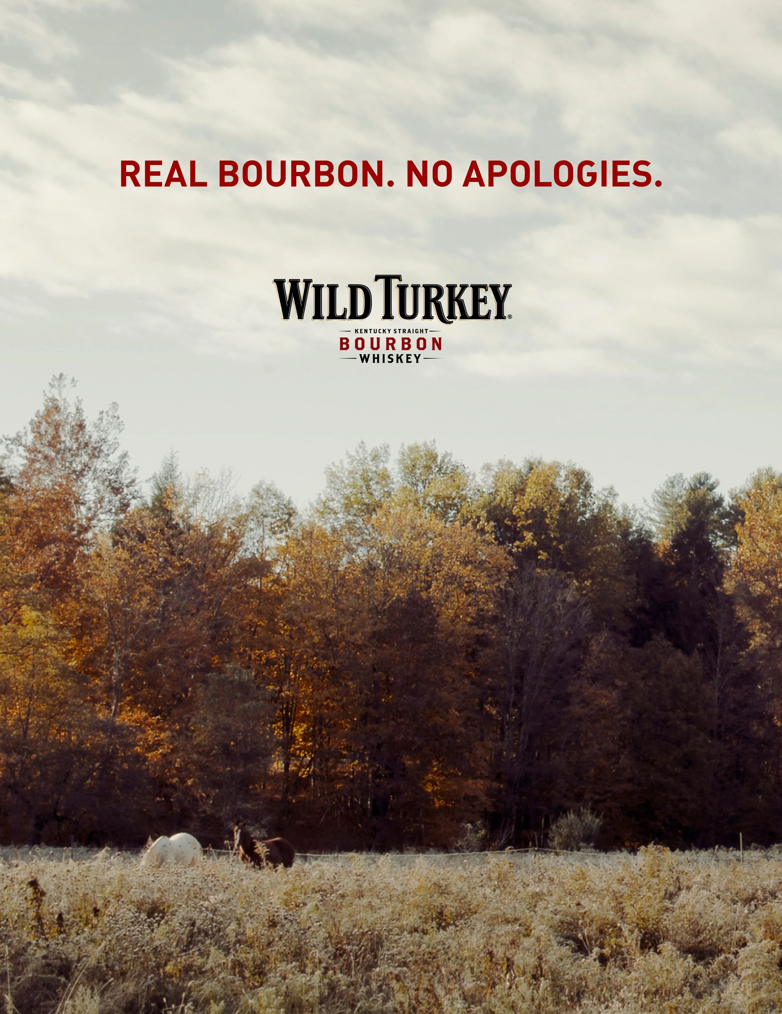 WILD TURKey BOOK.jpg