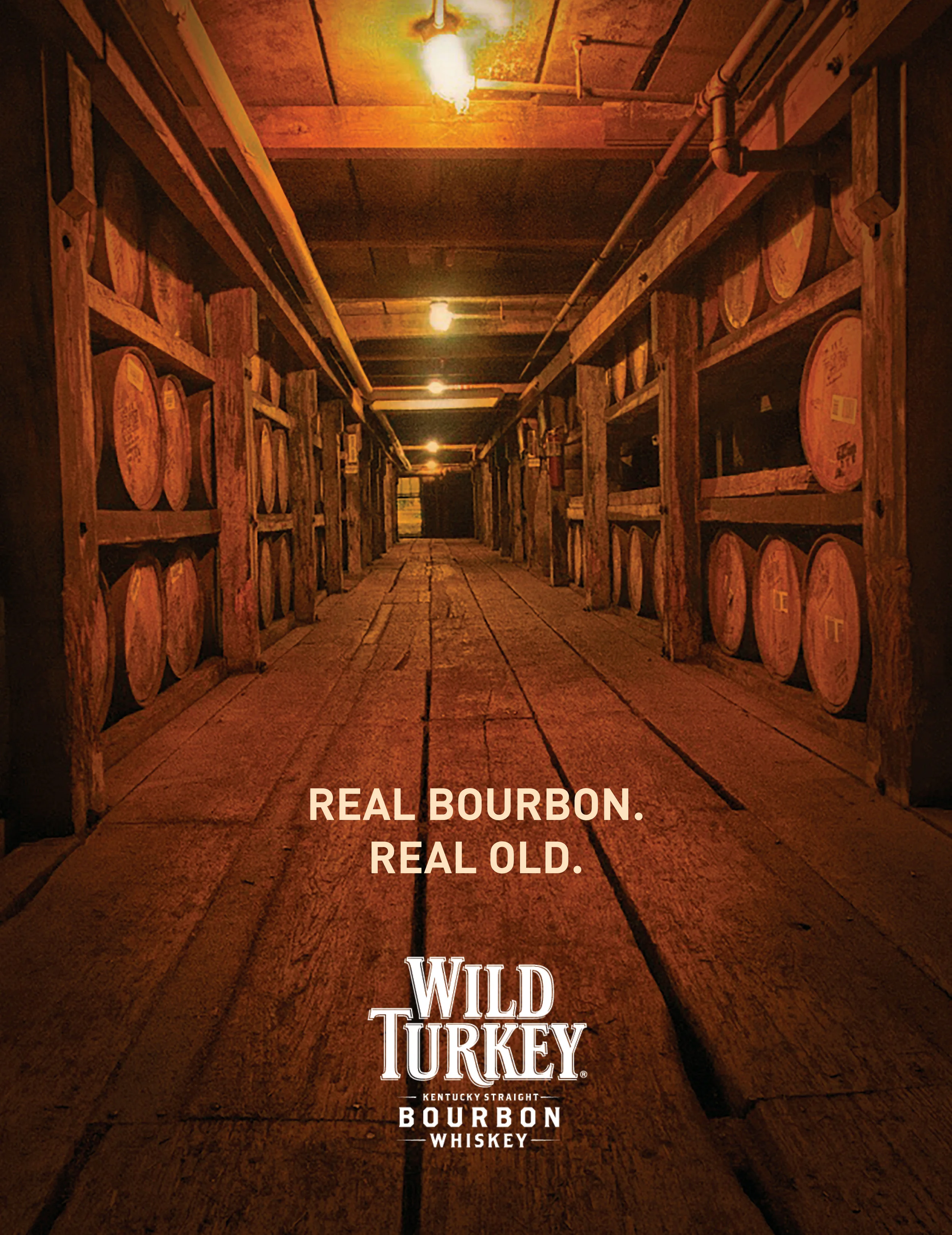 WILD TURKey BOOK4.jpg