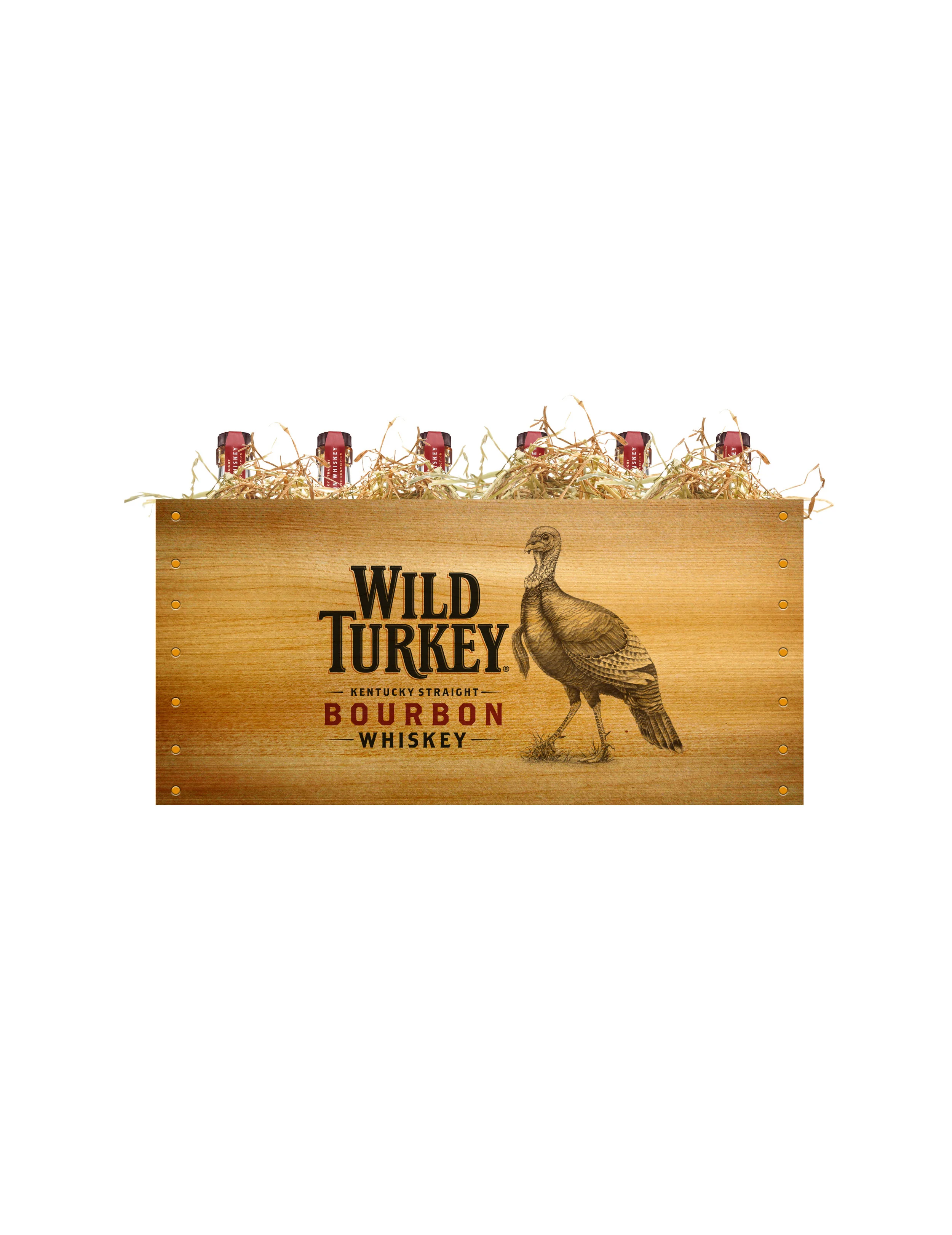 WILD TURKey BOOK10.jpg