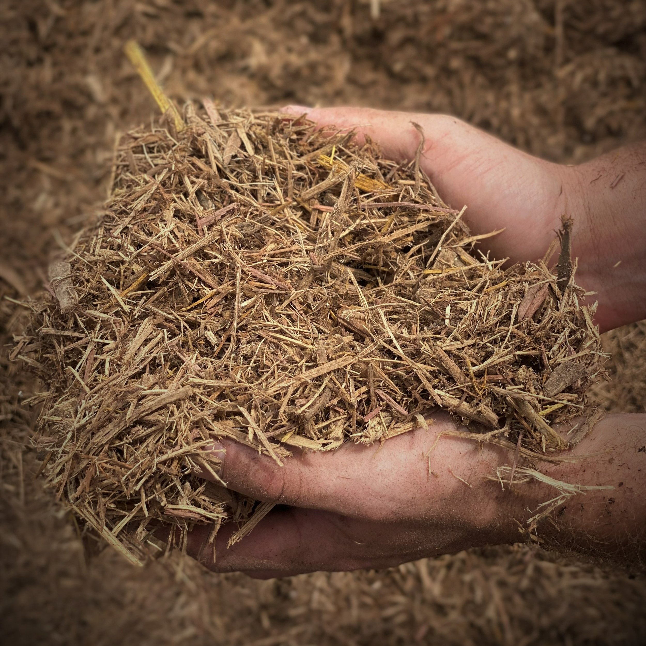 Cedar+Mulch.jpg