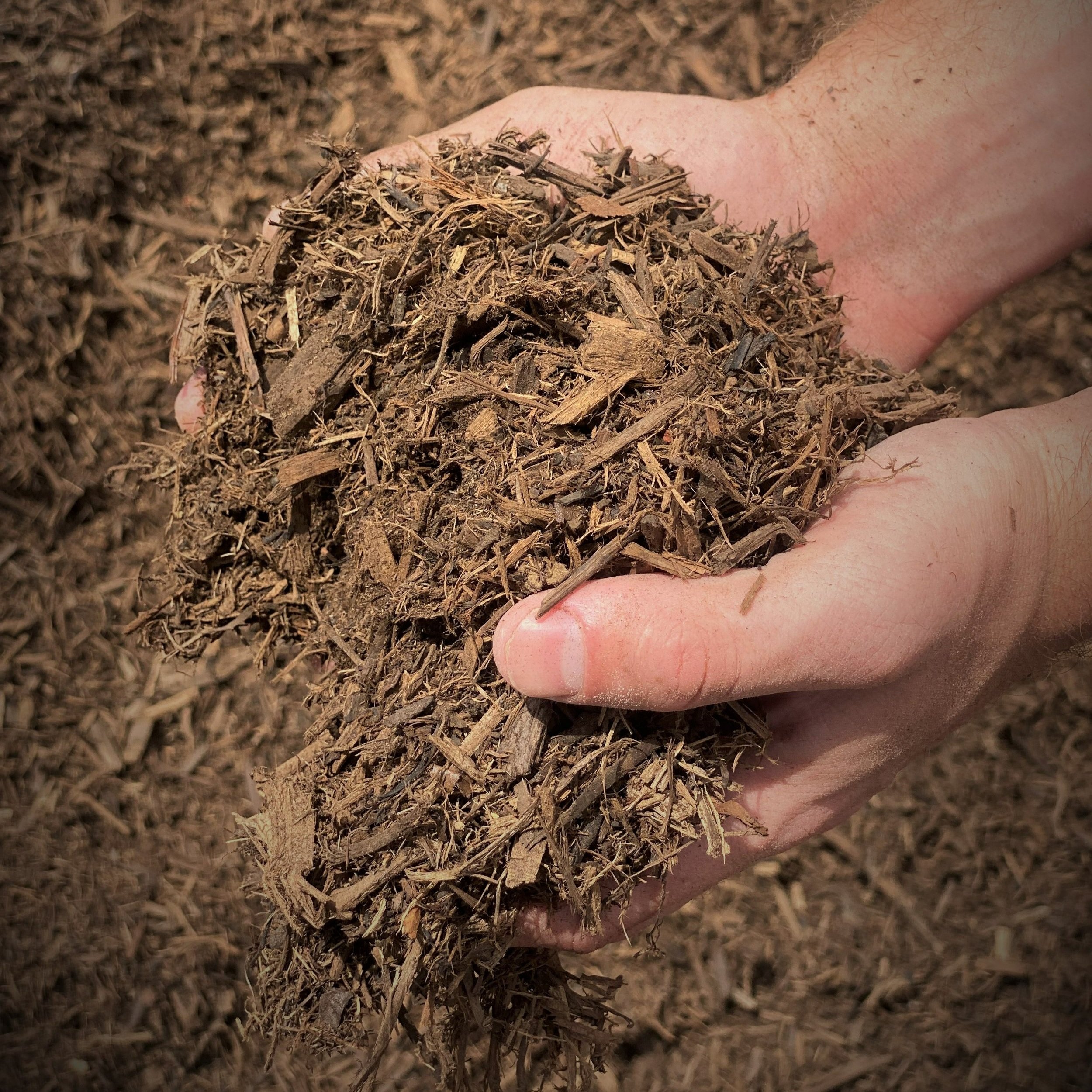 Native+Tree+Mulch.jpg