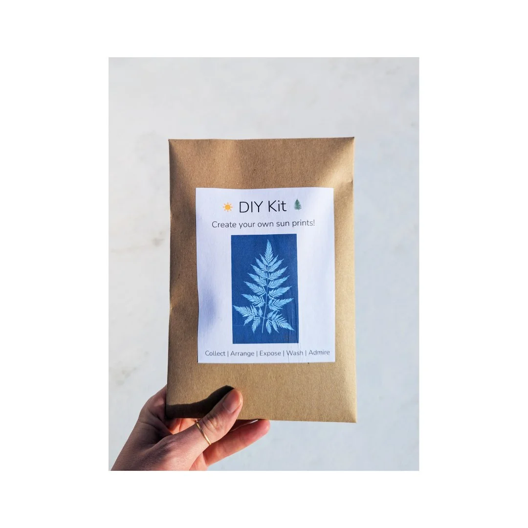 DIY kit front - thumbnail.jpg