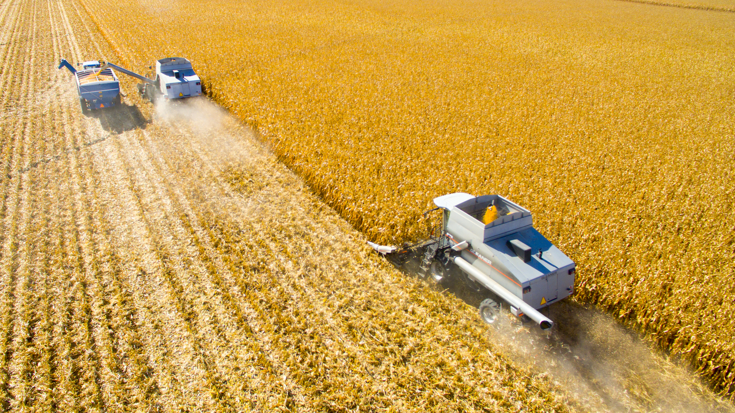 Corn Harvest 2015