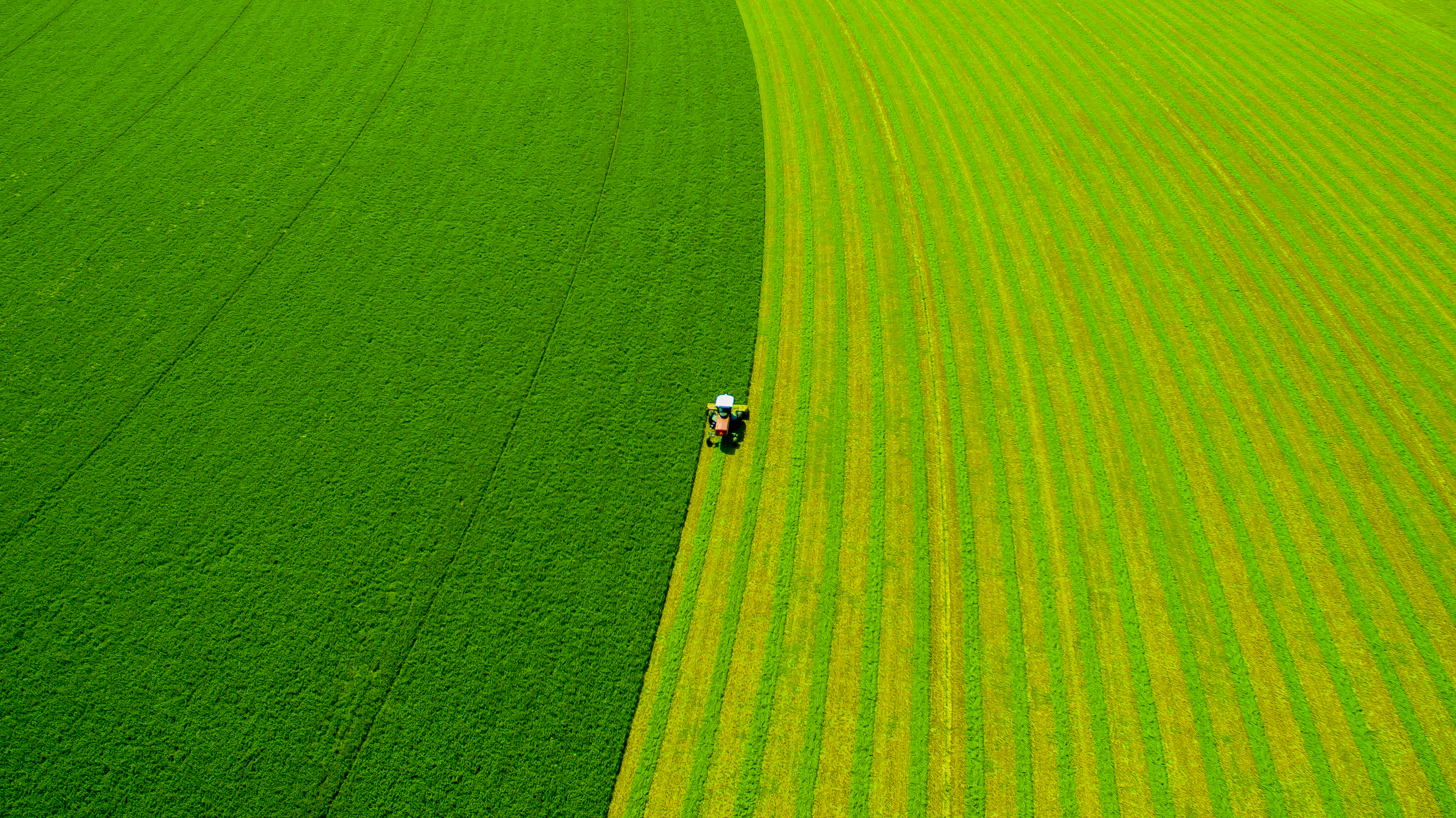 Drone Shot, Hay Cutting