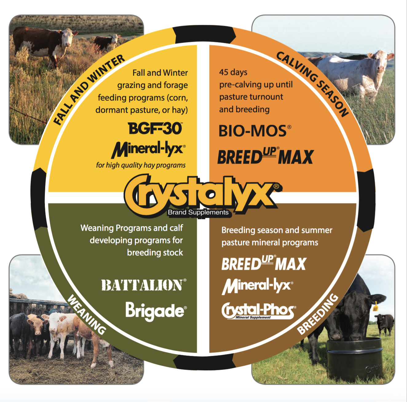 Products for the Cattlemen Year Around
