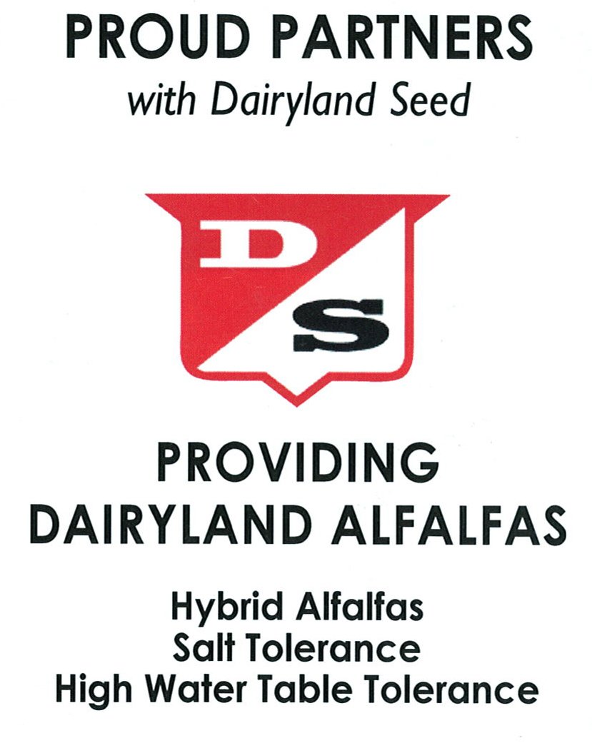 Alfalfa superiority