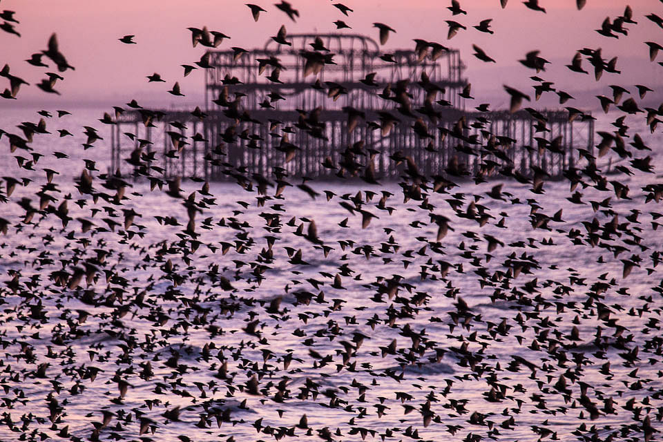 For prints please contact: langran1@hotmail.com and quote Landscape 29