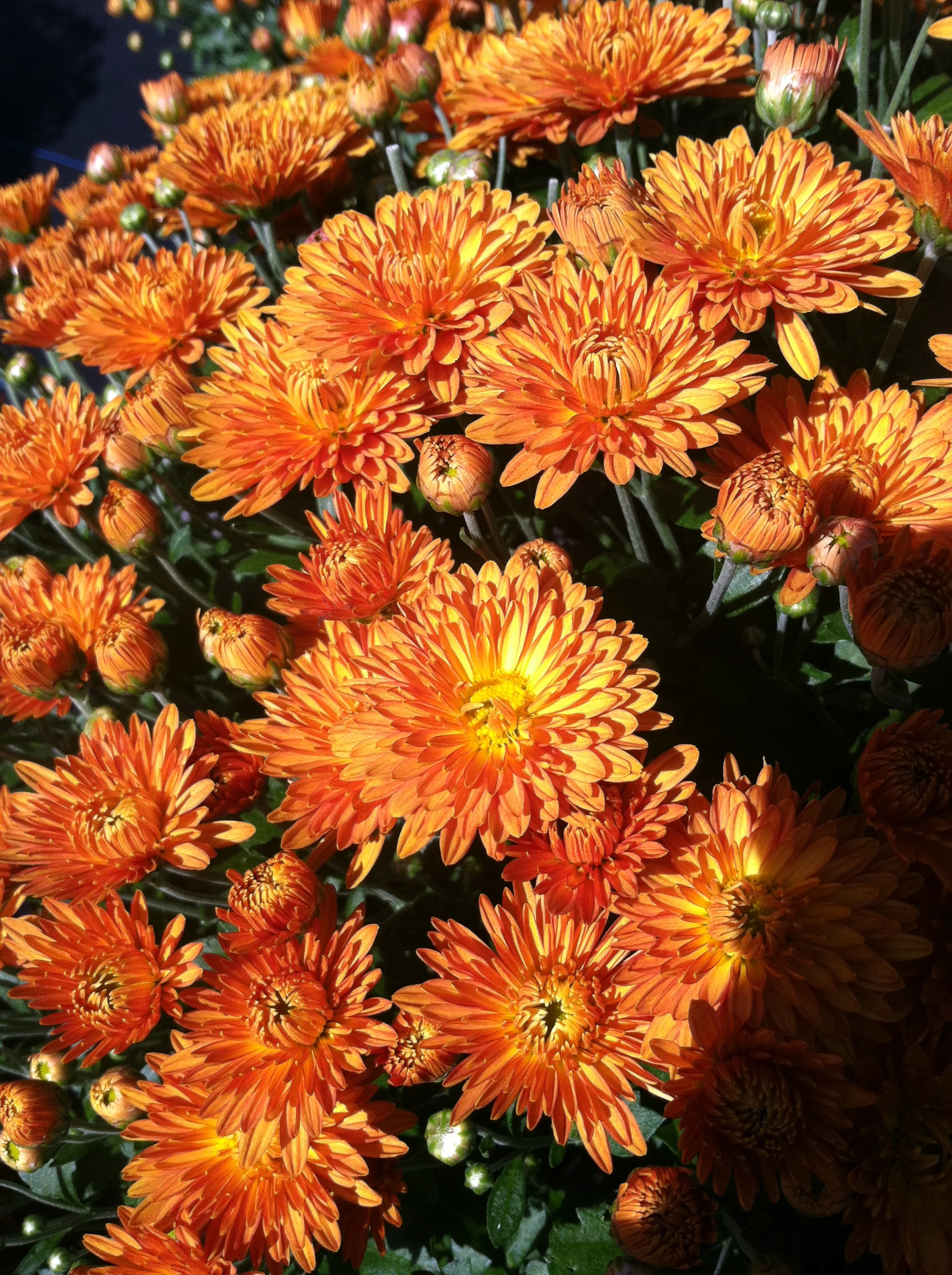 2013-09-15 13.20.31.jpg