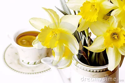 Sunday April 19th, 2015 ... watch for details coming soon!