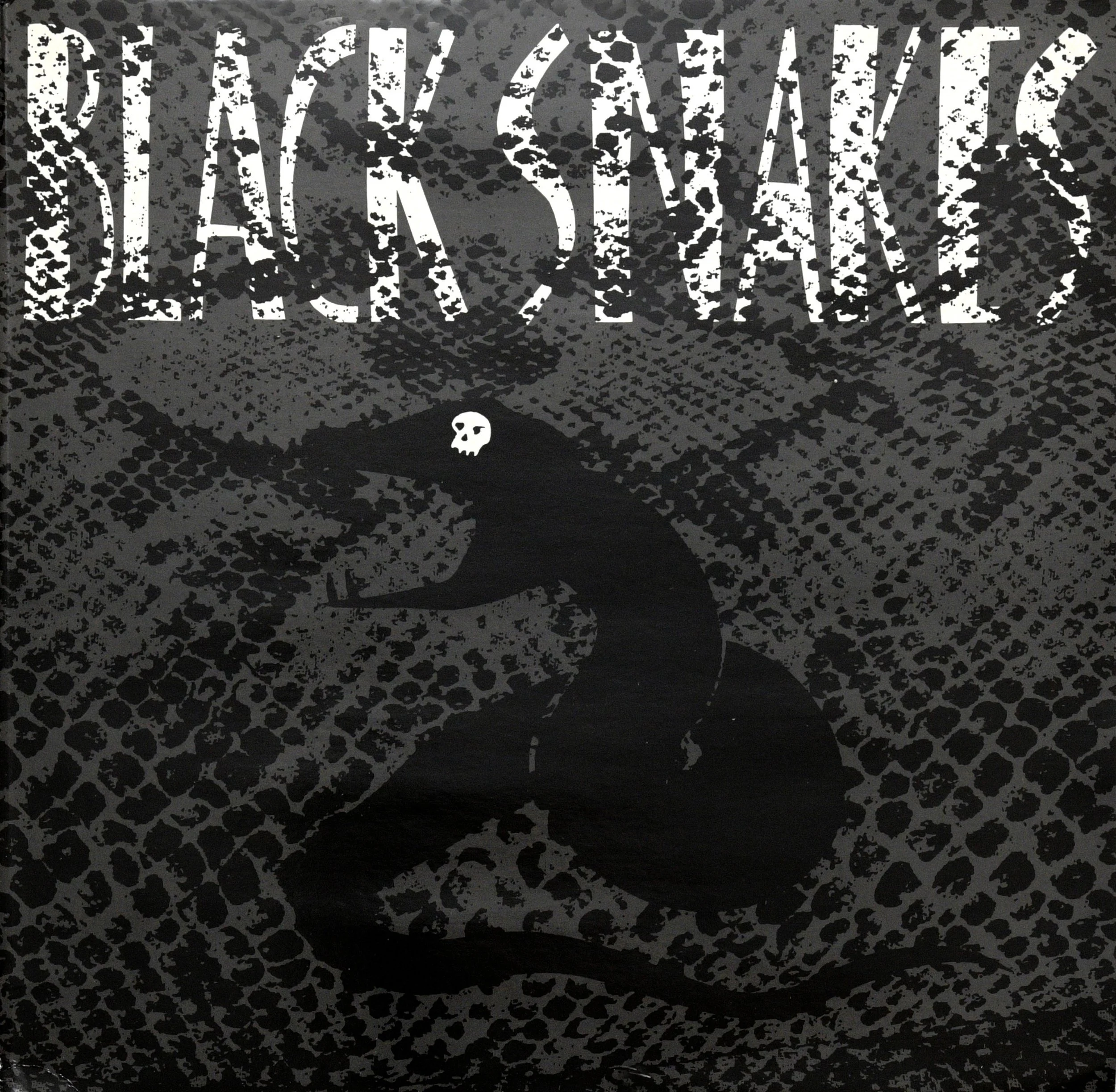 Black+snaakes+record.jpg