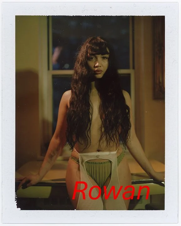 no pola 2024178.jpg