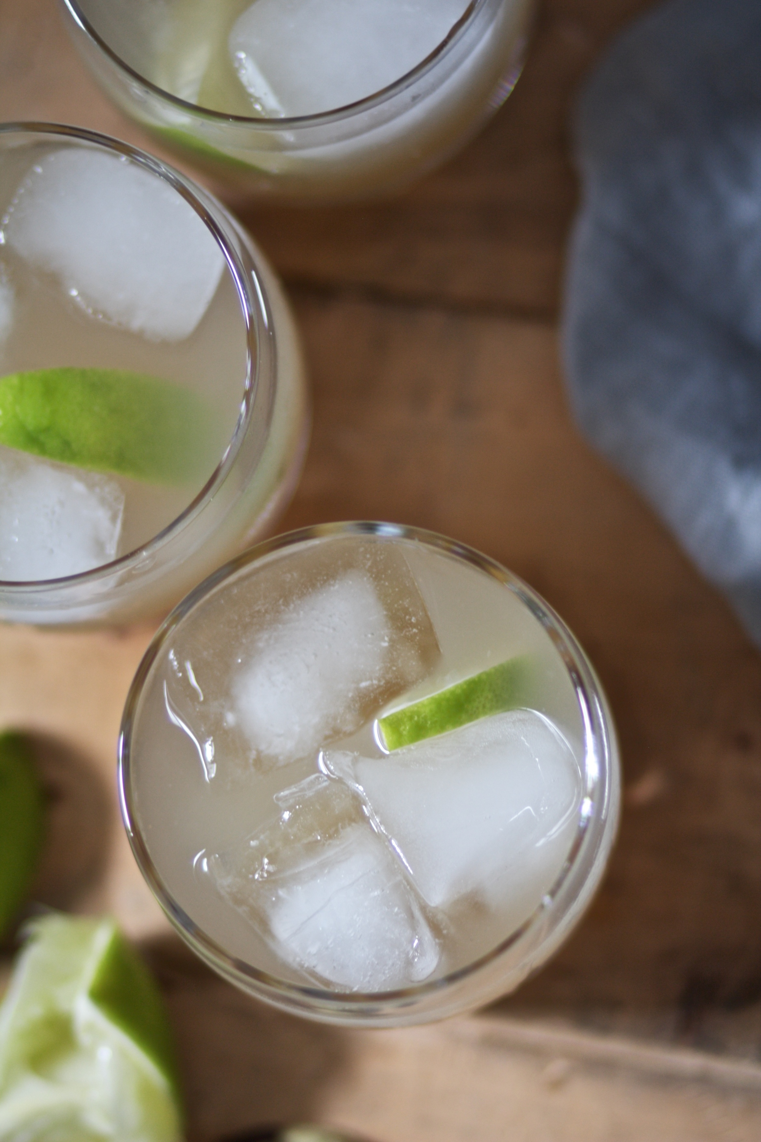 Blog Post.Slow.Gin.6.30.16 3.jpg