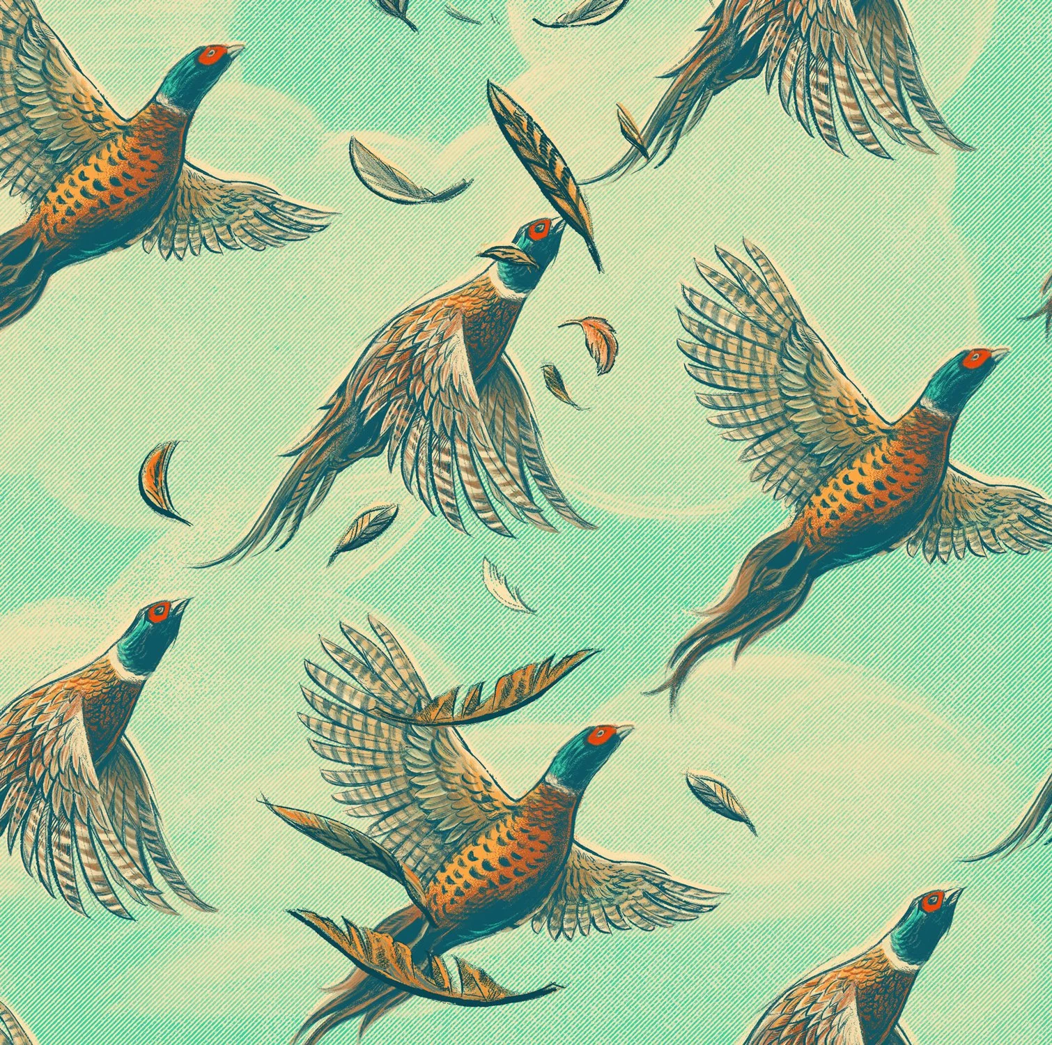 pheasants_newfeathers_cropweb.jpg