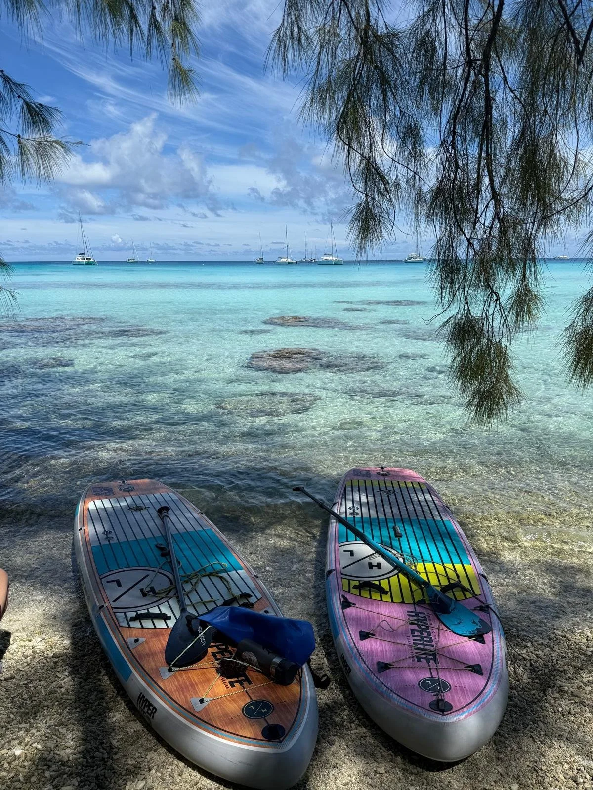 WhatsApp Image 2025-08-01 at 6.21.14 PM.jpeg