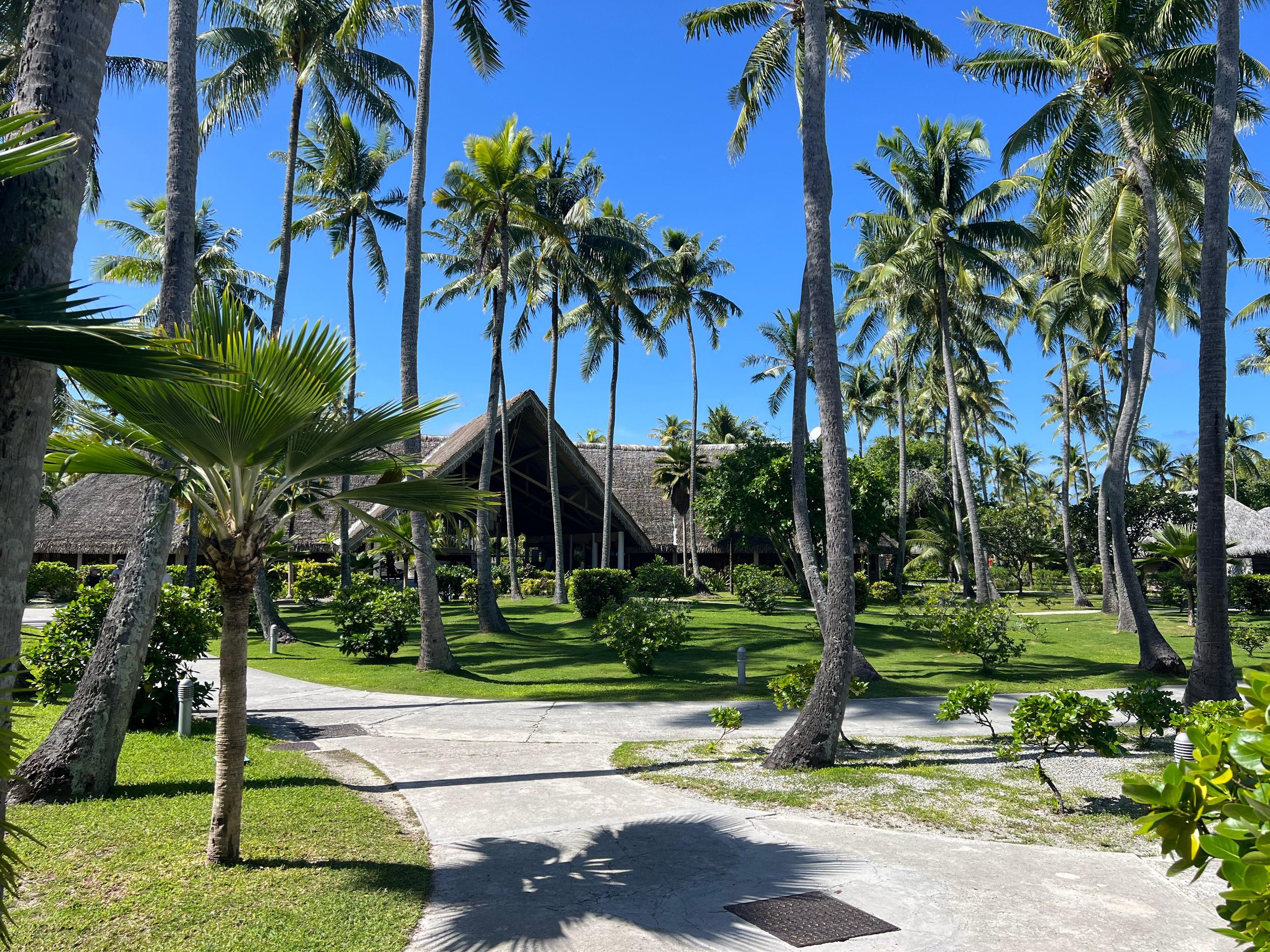 WhatsApp Image 2025-08-01 at 5.36.51 PM.jpeg