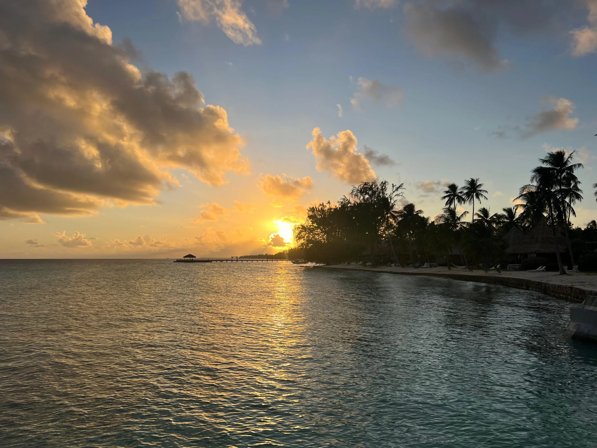 WhatsApp Image 2025-08-01 at 5.35.06 PM.jpeg