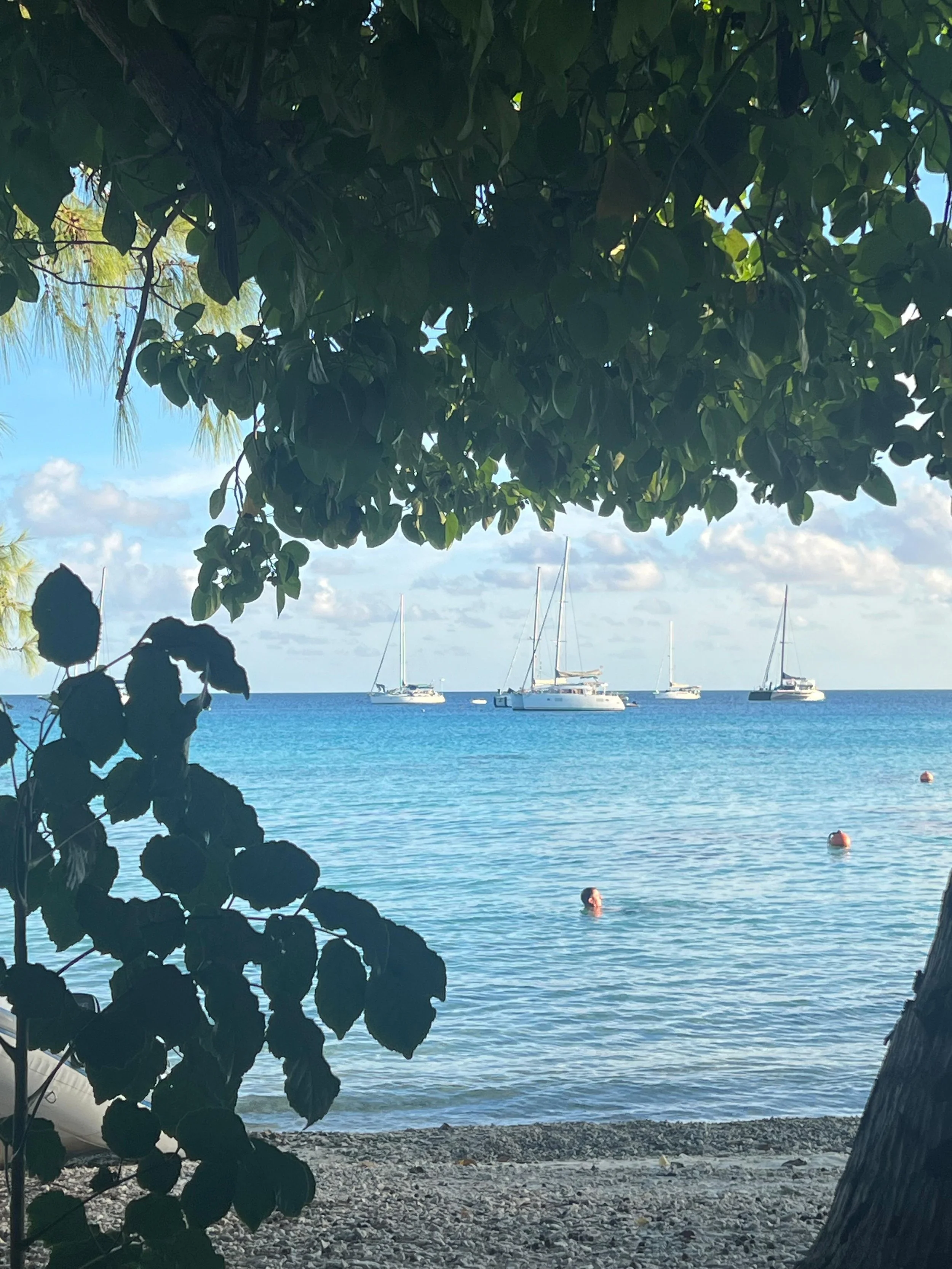 WhatsApp Image 2025-08-01 at 5.33.32 PM.jpeg