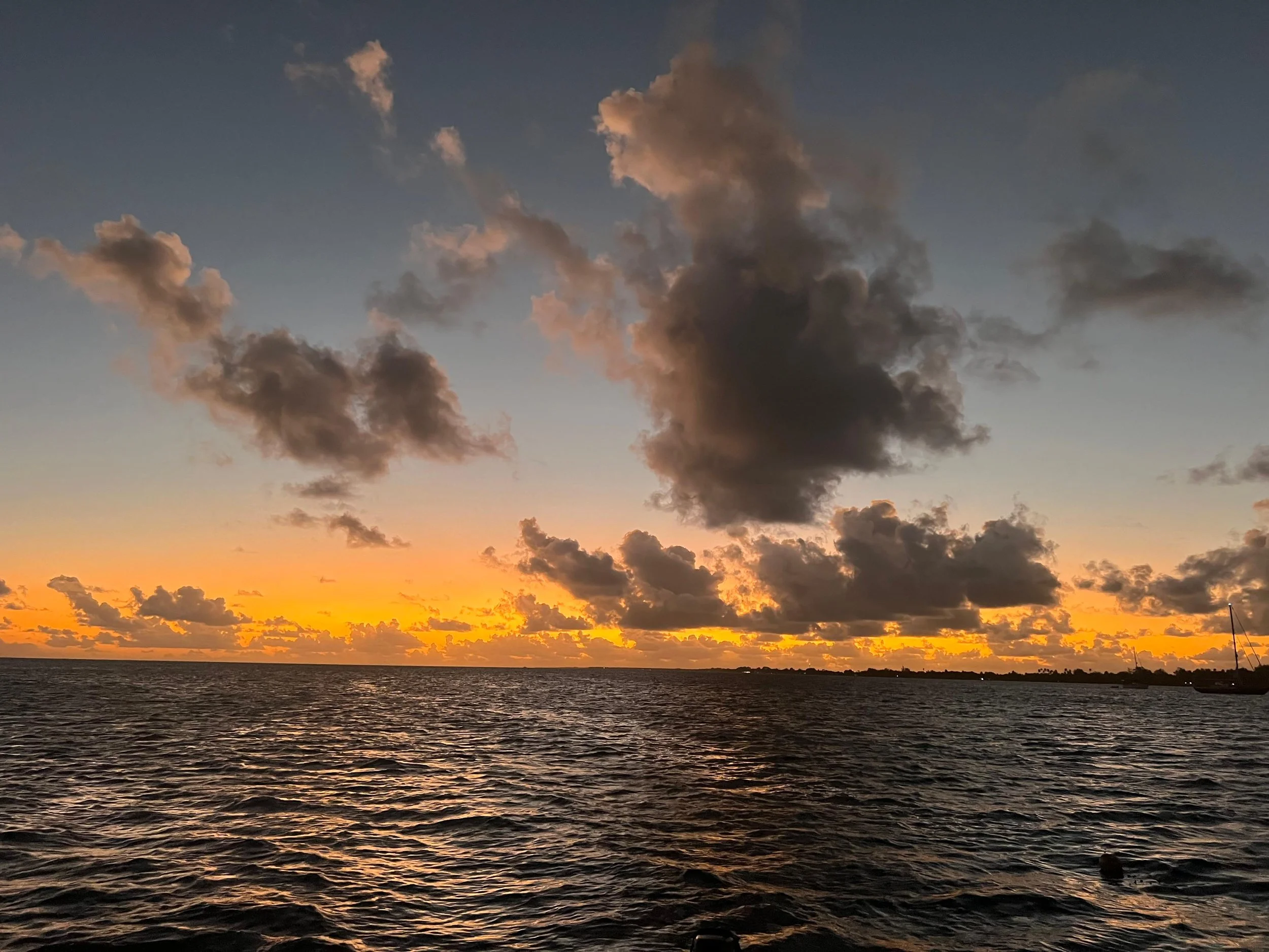 WhatsApp Image 2025-08-01 at 5.35.28 PM.jpeg