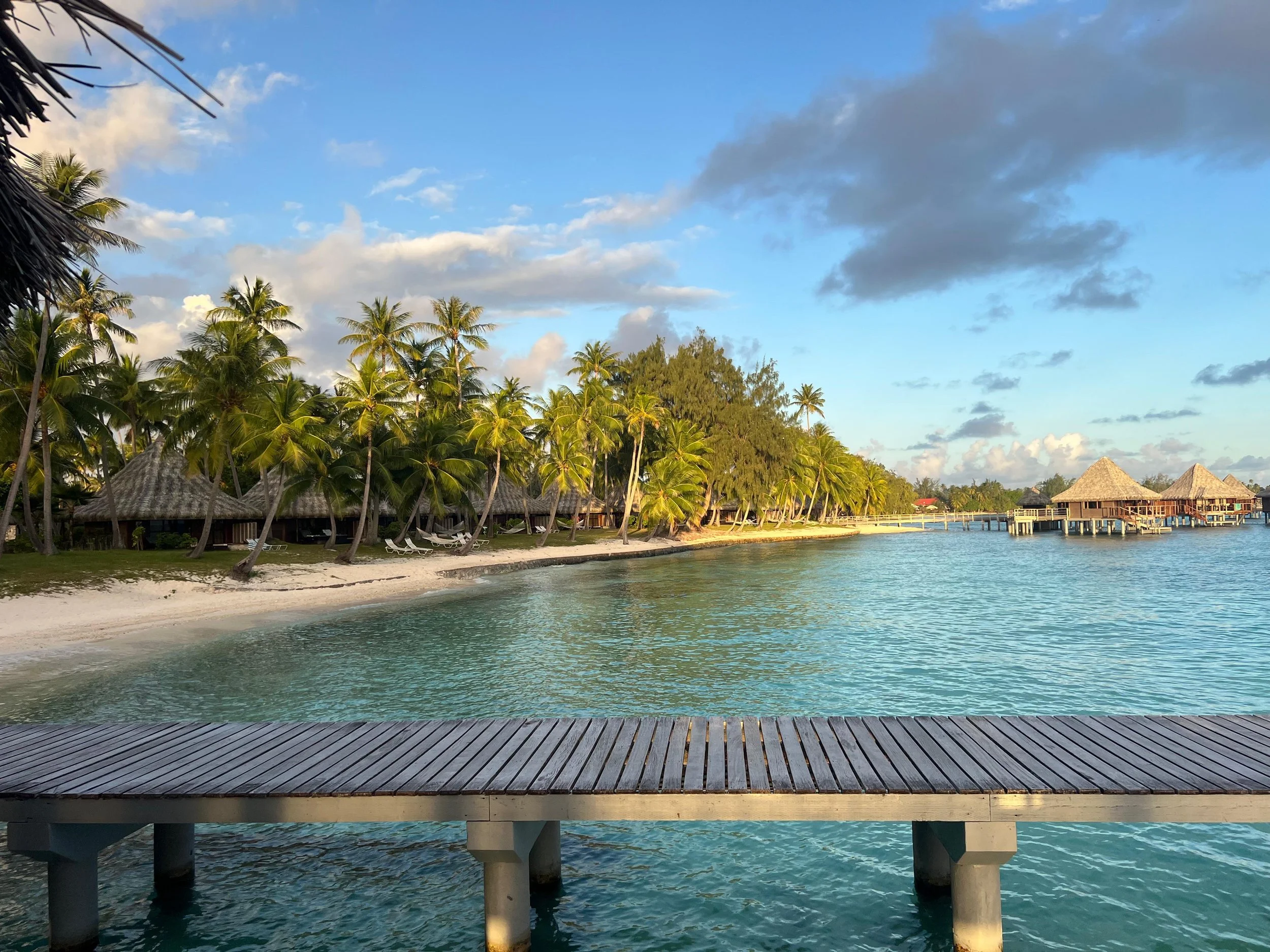 WhatsApp Image 2025-08-01 at 5.35.19 PM.jpeg