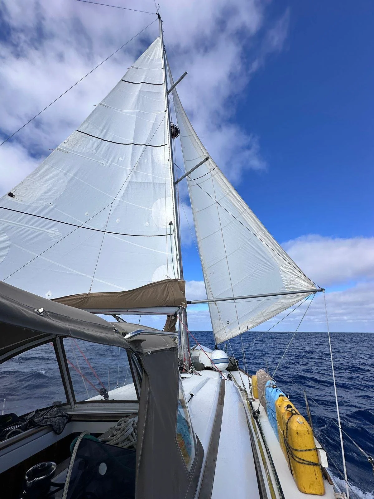 WhatsApp Image 2025-08-01 at 5.42.54 PM.jpeg