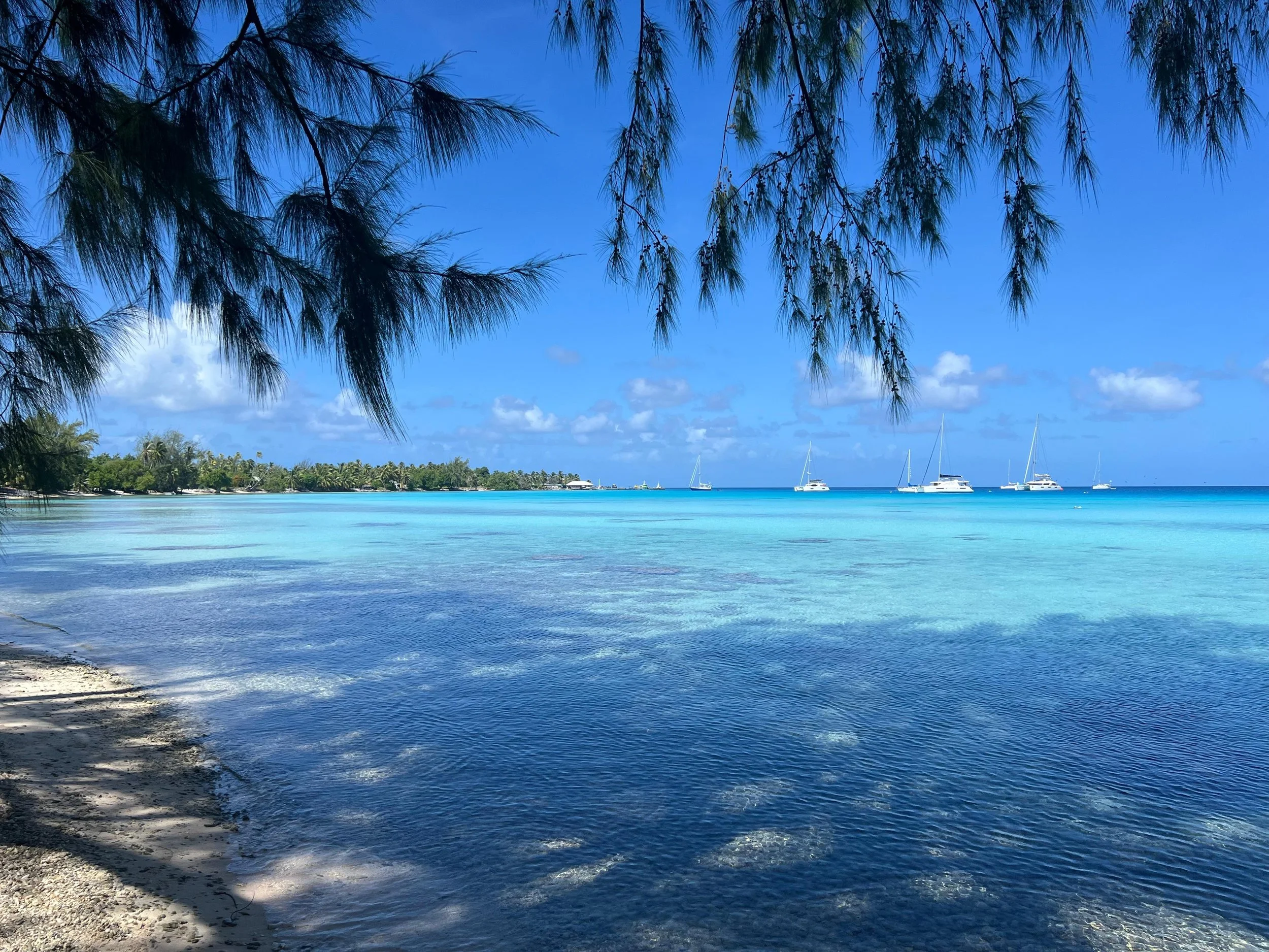 WhatsApp Image 2025-08-01 at 5.37.04 PM.jpeg