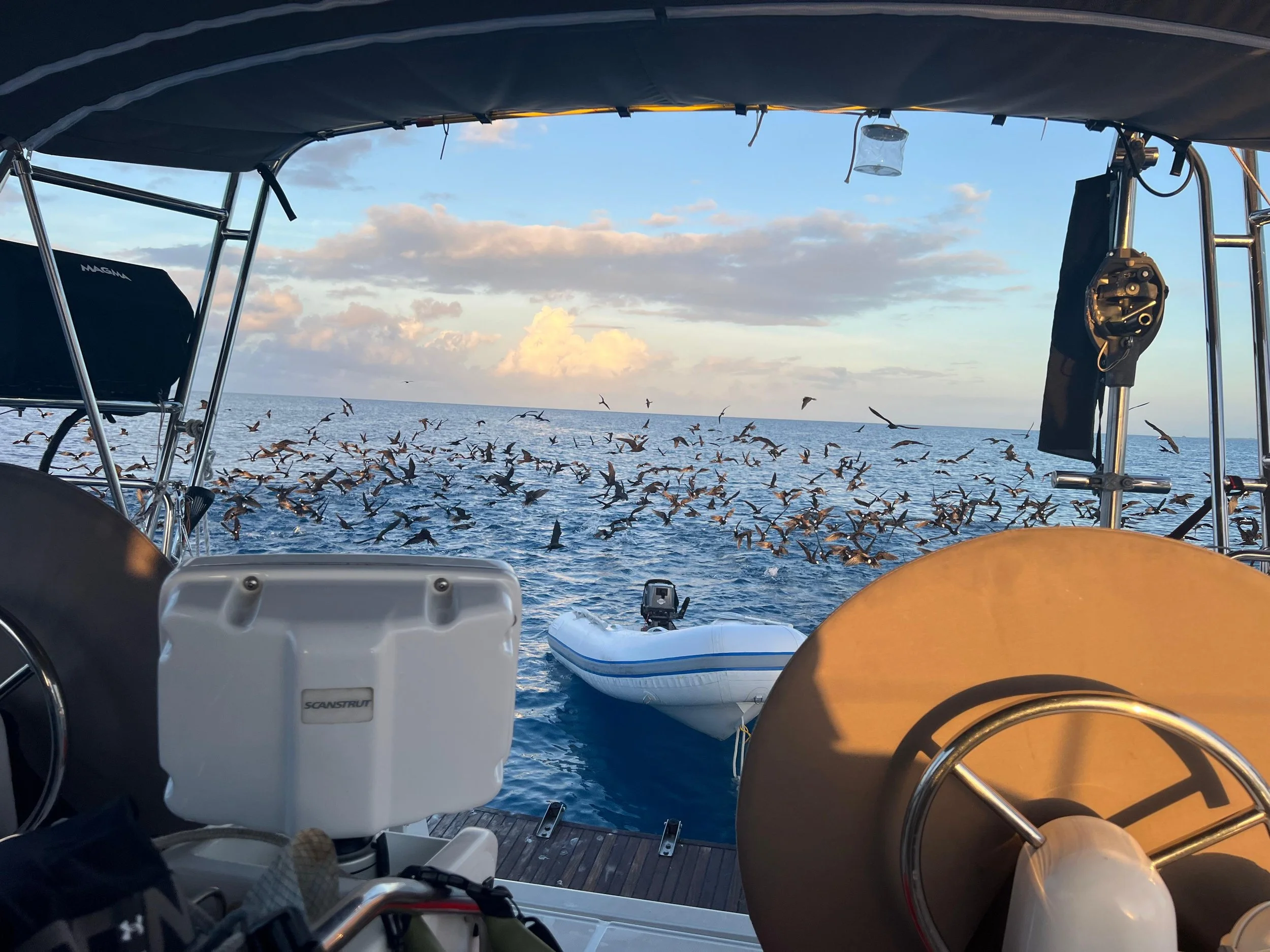 WhatsApp Image 2025-08-01 at 5.35.39 PM.jpeg