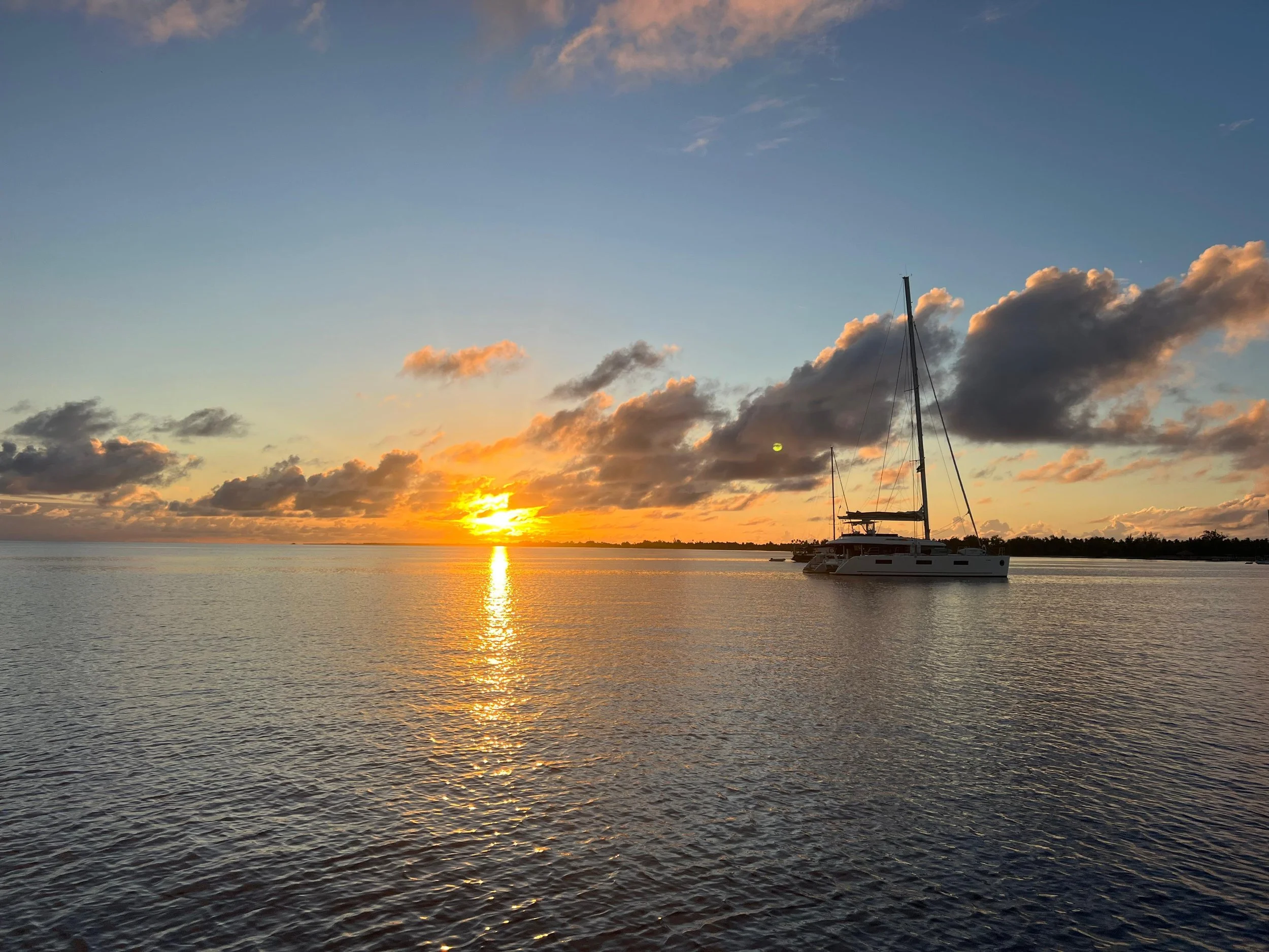 WhatsApp Image 2025-08-01 at 5.33.01 PM.jpeg