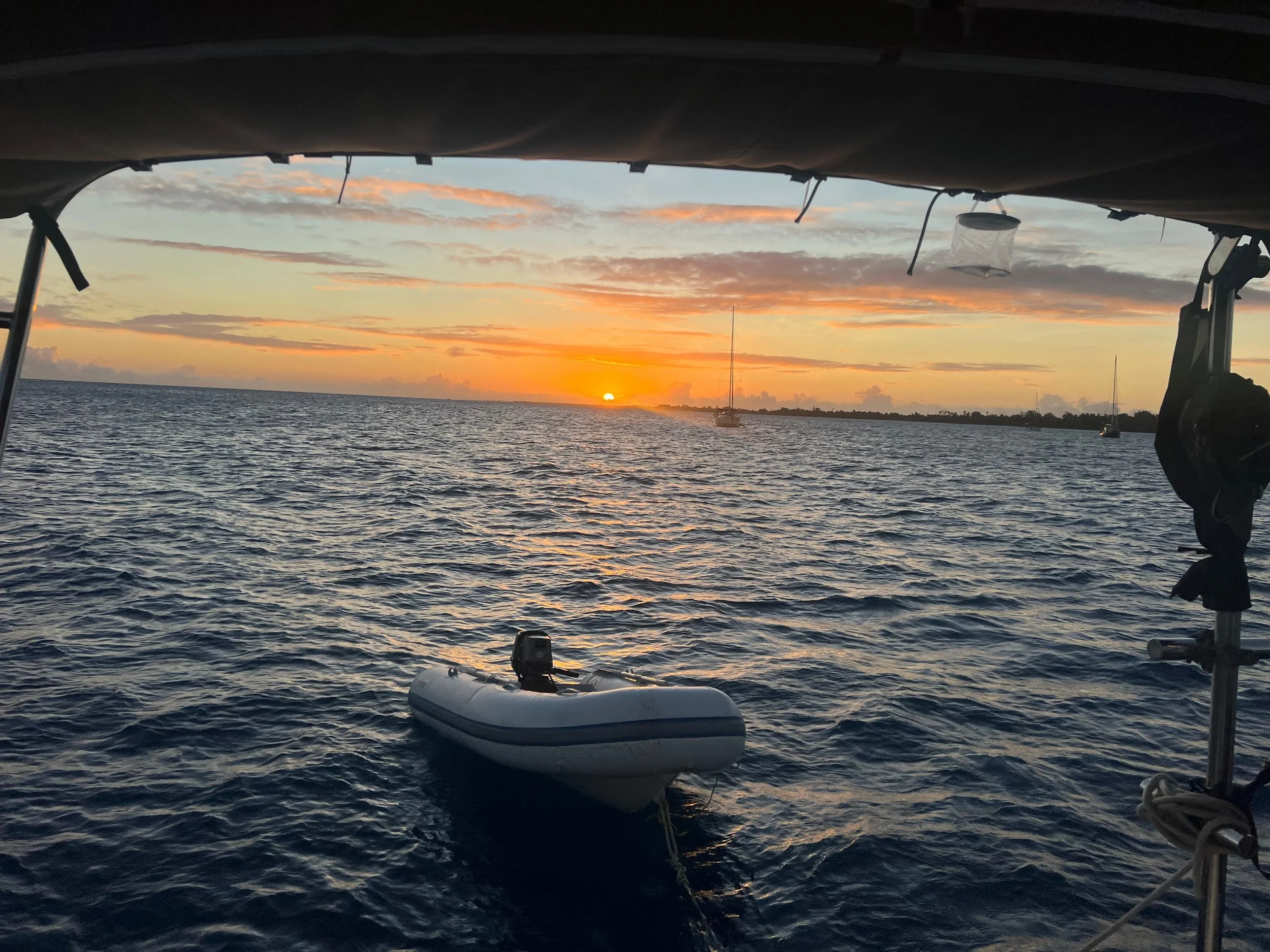 WhatsApp Image 2025-08-01 at 5.34.50 PM.jpeg