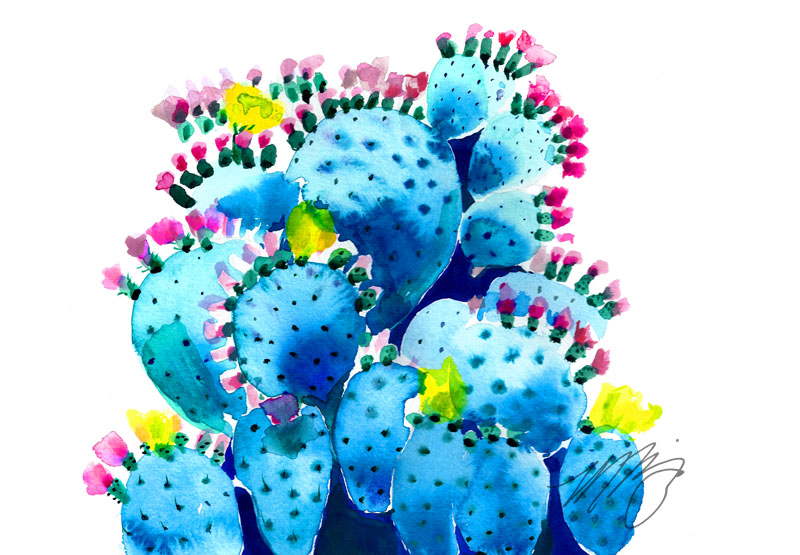 Blue Cactus Cacti