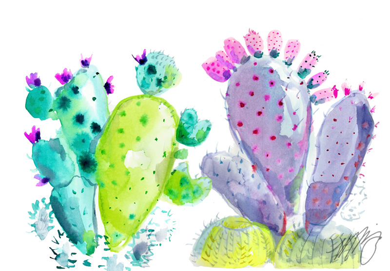 Multicolor Cactus