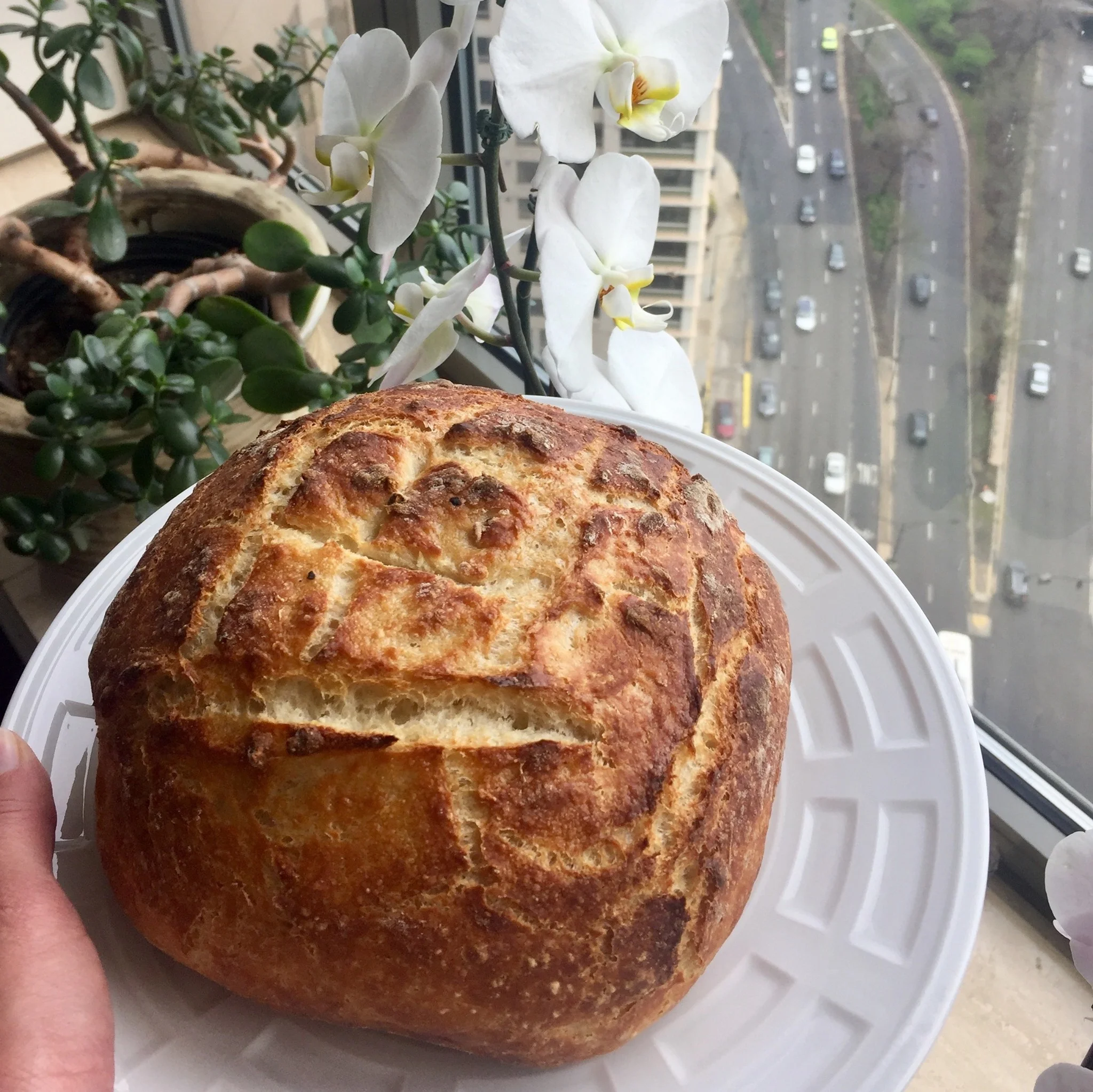 Why Carbs Are So Important