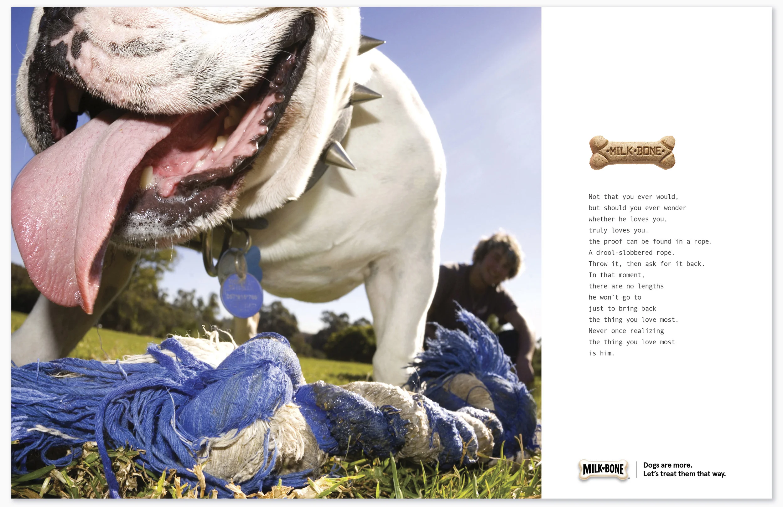  It would seem I have a thing for smush-faced dogs.     Credits ECD: Susan Treacy &amp; Jon Flannery CD/AD: Marisa Groenweghe CD/CW: Kathleen Tax Wille   
