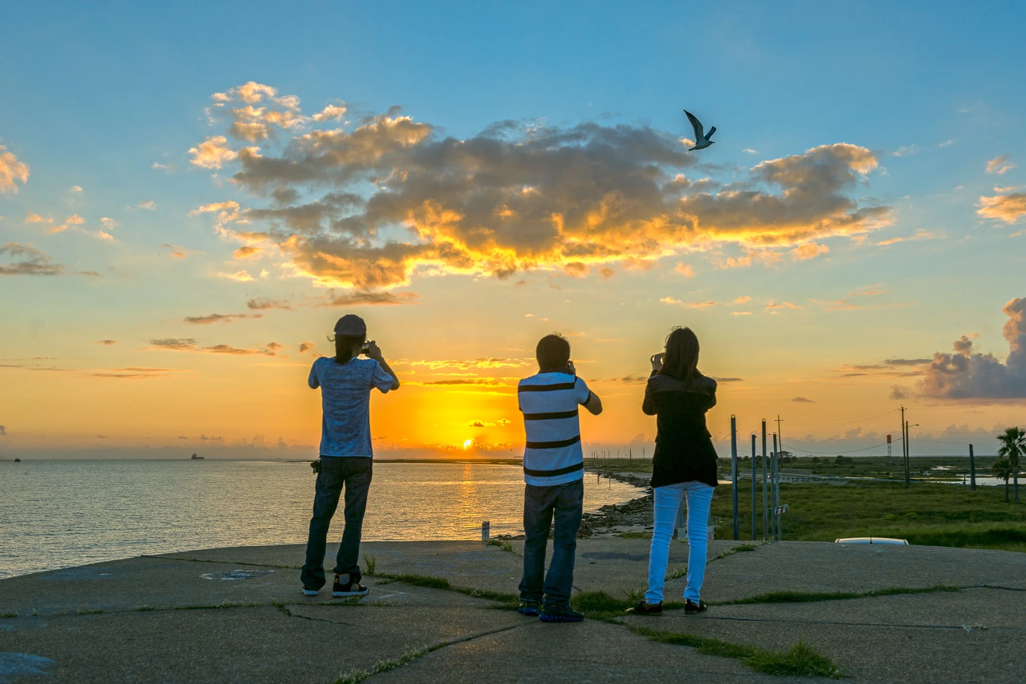 Photo by Vadim Troshkin, galveston.com