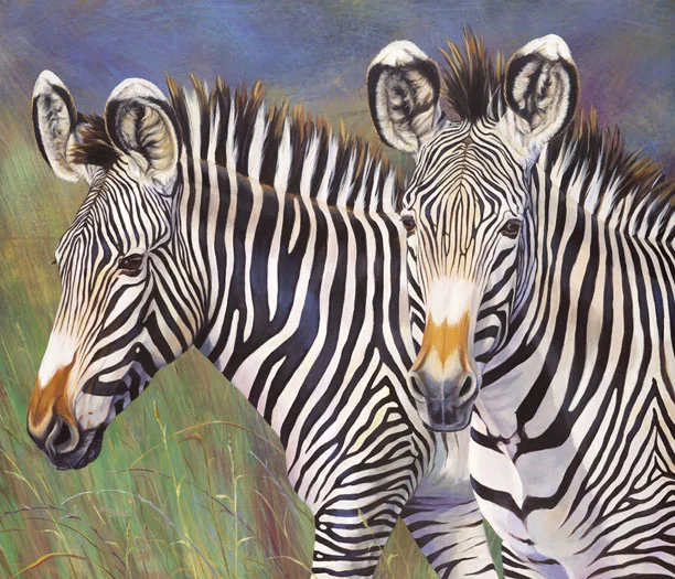 LHB_Grevy's-Zebra_web.jpg