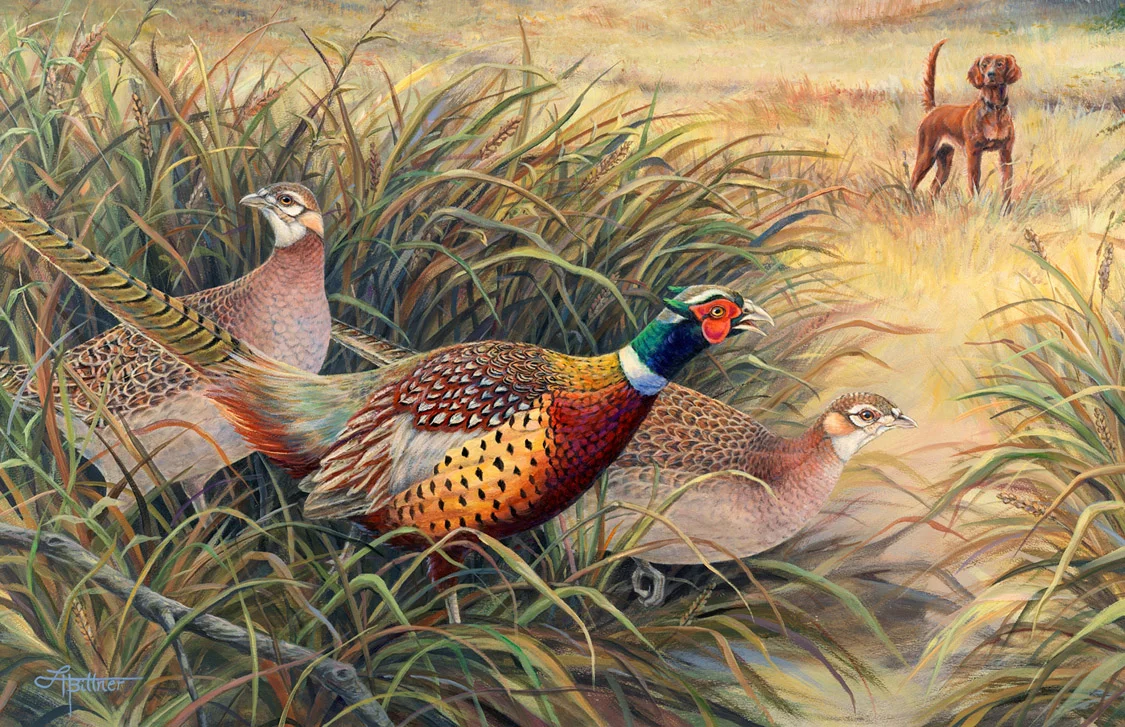 LHBittner_Pheasants_Red setter.jpg