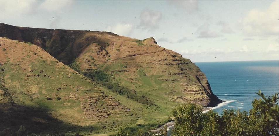 Maui pics.jpg