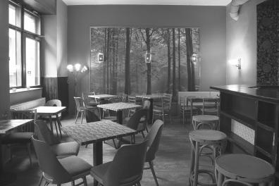 Cafe v lese
