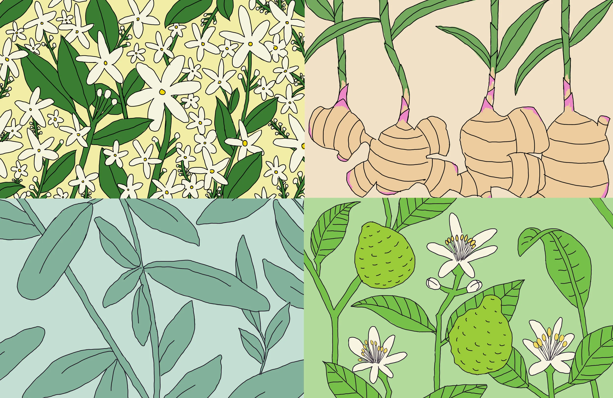 Florals.jpg