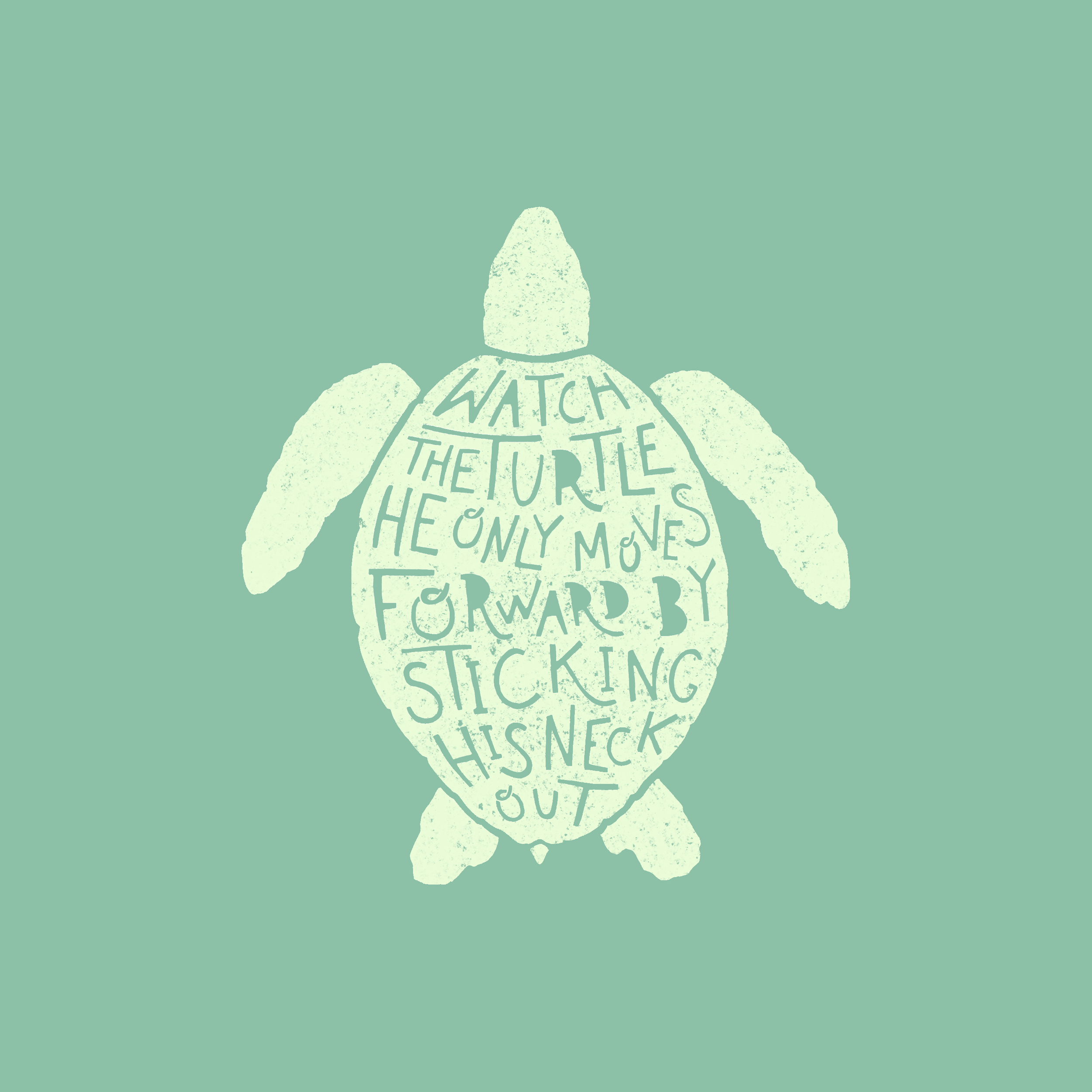 Turtle Wisdom